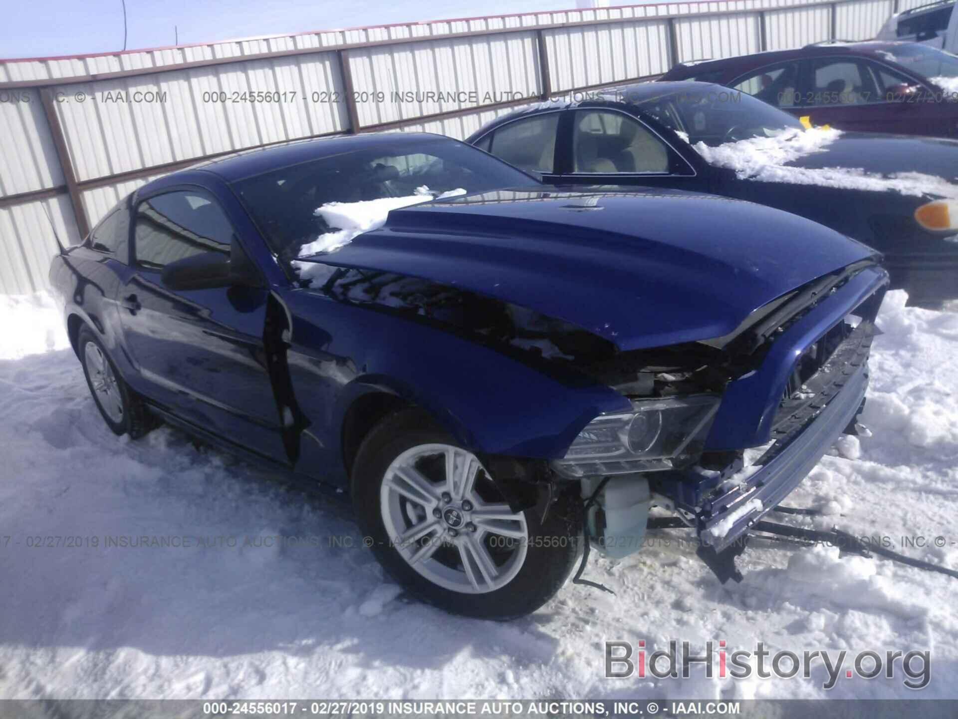 Photo 1ZVBP8AM9D5276011 - FORD MUSTANG 2013