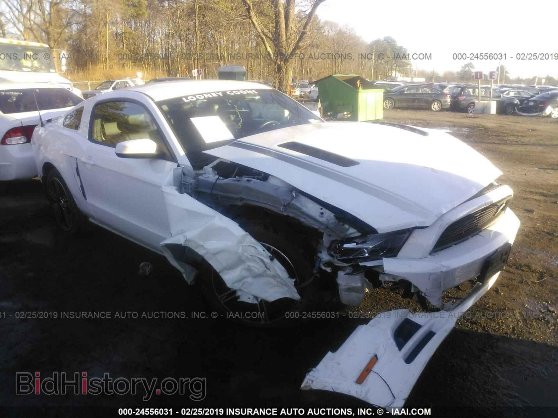 Photo 1ZVBP8CF4E5279785 - FORD MUSTANG 2014