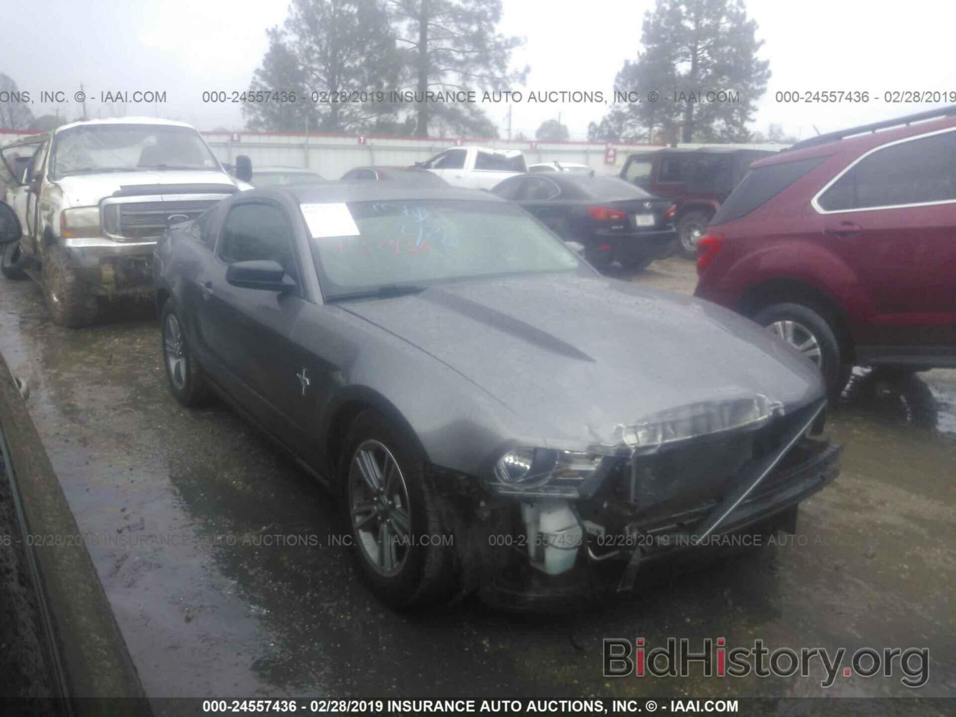 Photo 1ZVBP8AMXB5111601 - FORD MUSTANG 2011