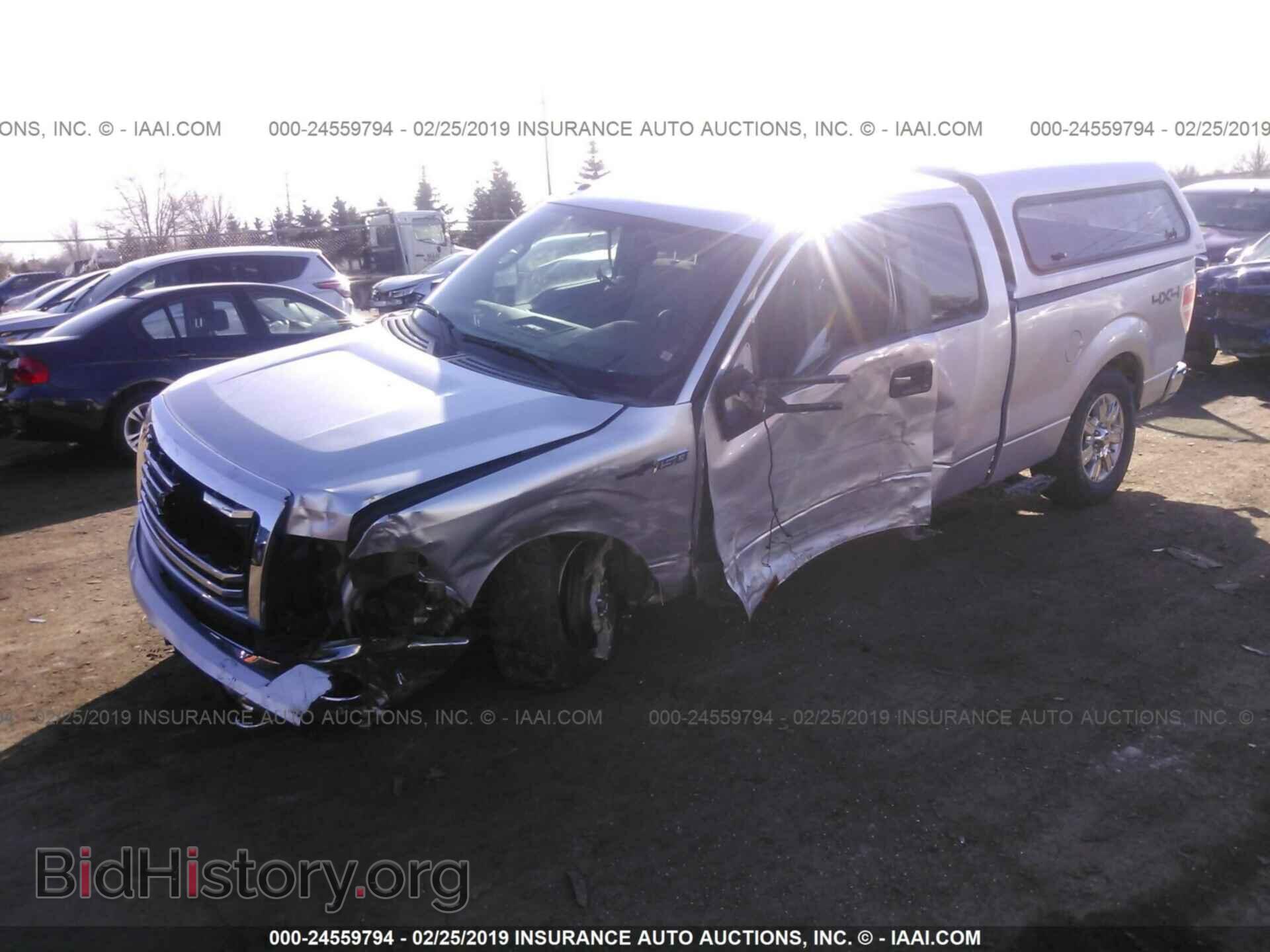 2011 FORD F150 - VIN: 1FTFX1ET8BFC04558 - Фото 2