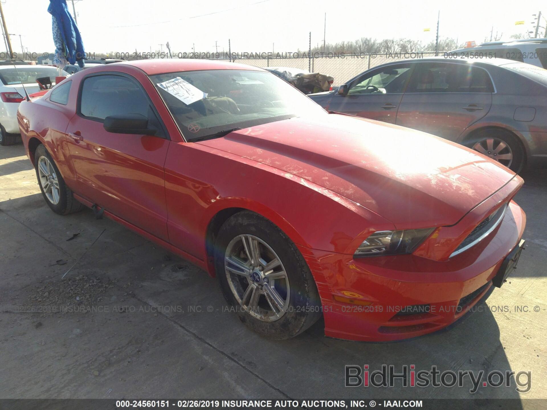 Photo 1ZVBP8AM9D5220621 - FORD MUSTANG 2013