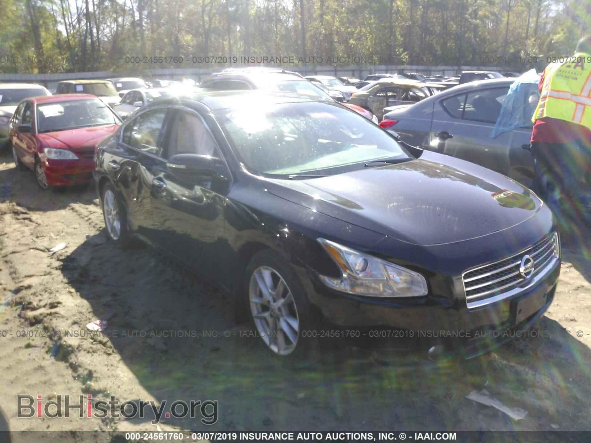 Photo 1N4AA5AP7BC857904 - NISSAN MAXIMA 2011