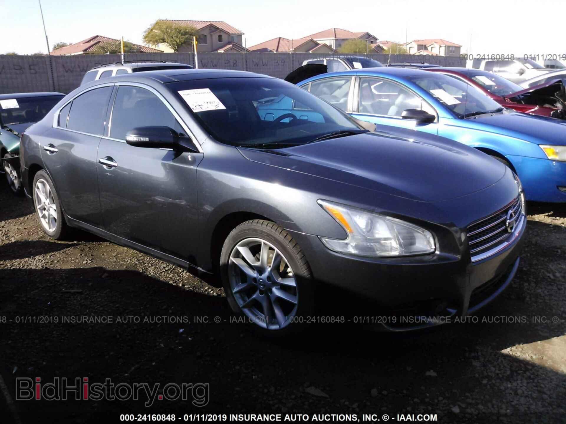 Photo 1N4AA5AP5BC822200 - NISSAN MAXIMA 2011