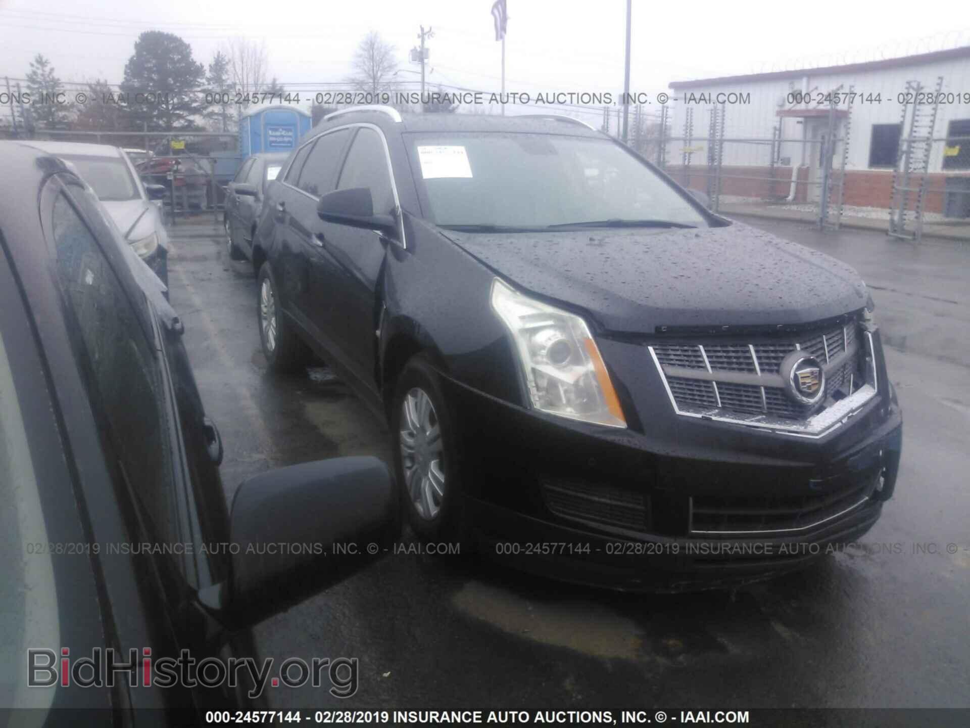 Photo 3GYFNAEY4BS680491 - CADILLAC SRX 2011