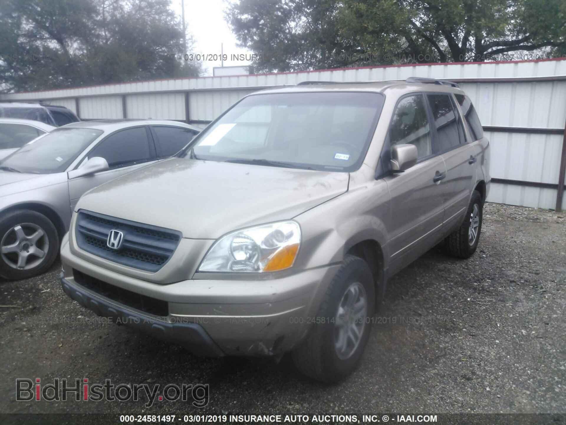 2005 HONDA PILOT - VIN: 5FNYF185X5B017517 - Фото 2