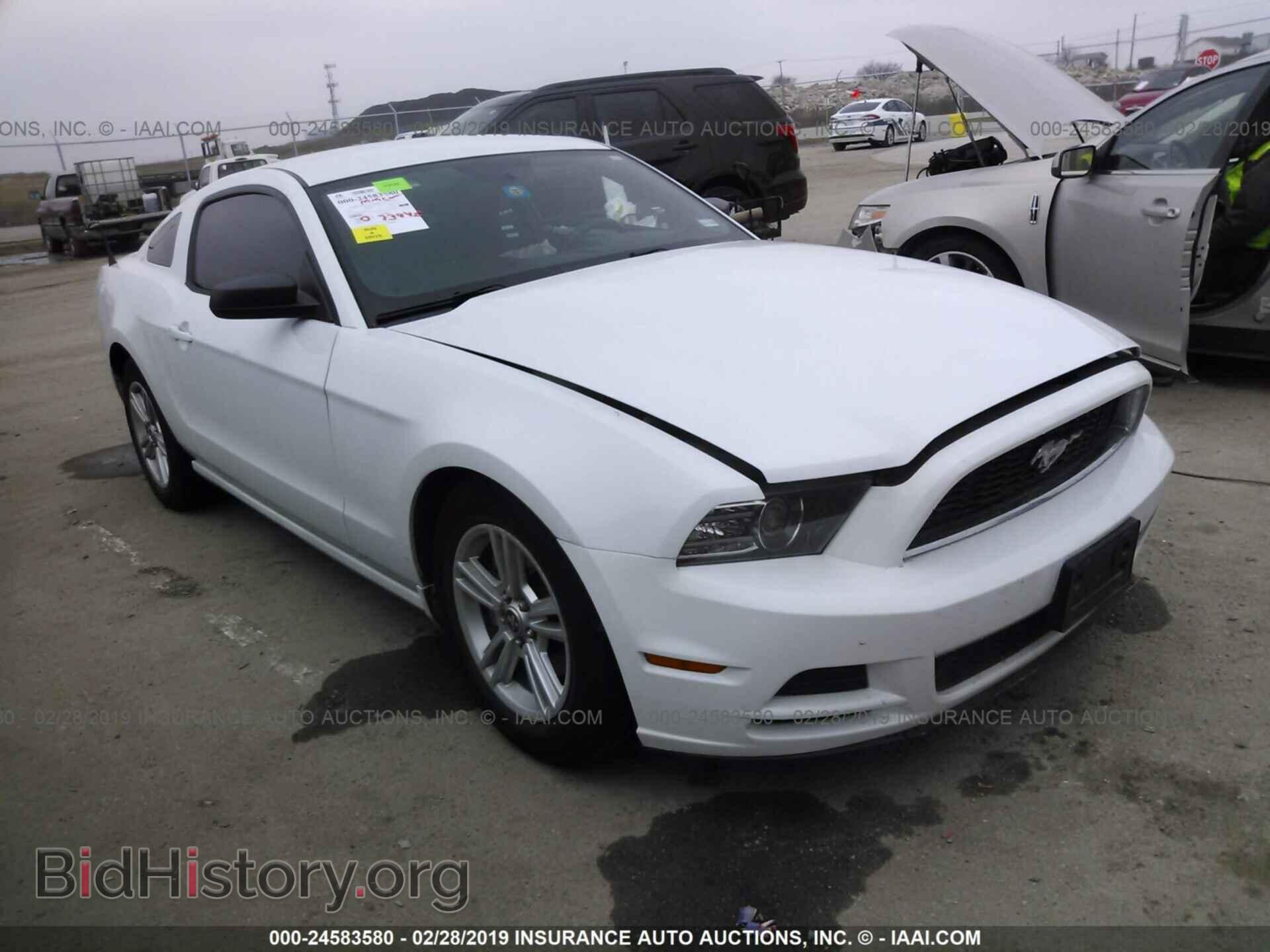 Фотография 1ZVBP8AM4E5274331 - FORD MUSTANG 2014