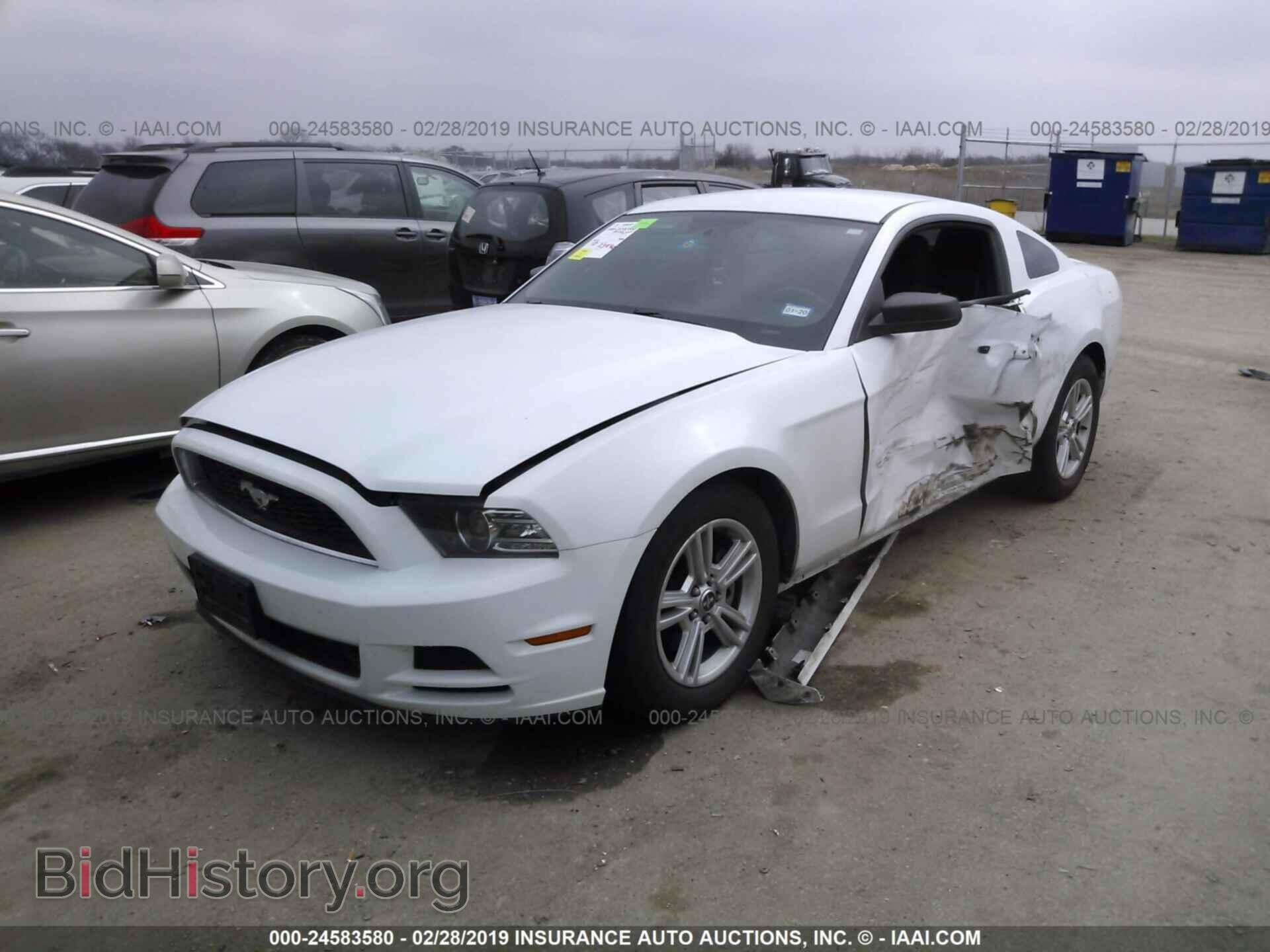 2014 FORD MUSTANG - VIN: 1ZVBP8AM4E5274331 - Фото 2
