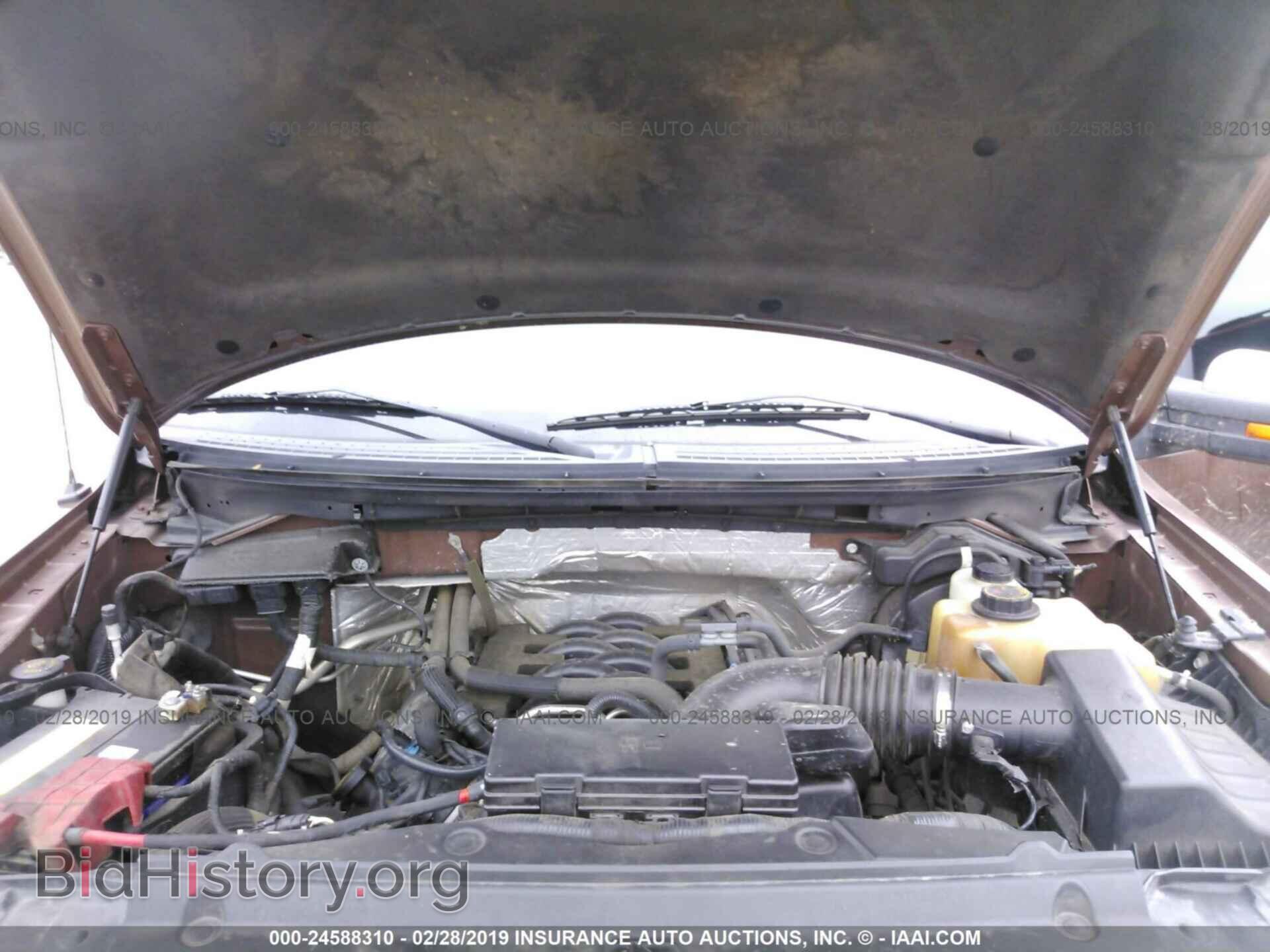 2011 FORD F150 - VIN: 1FTFW1EF8BFB16431 - Фото 10