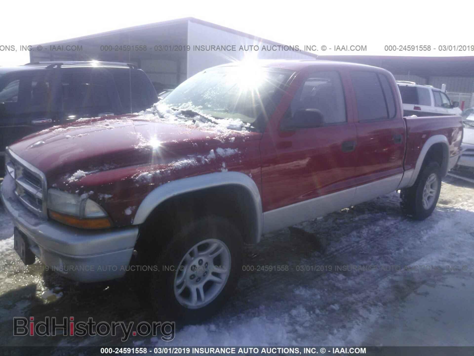 2003 DODGE DAKOTA - VIN: 1D7HG48Z03S338117 - Фото 2