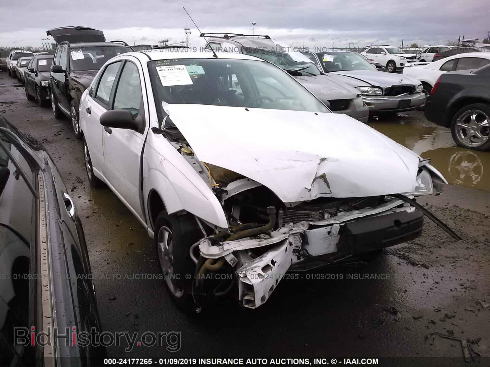 Photo 1FADP3F26DL315337 - FORD FOCUS 2013