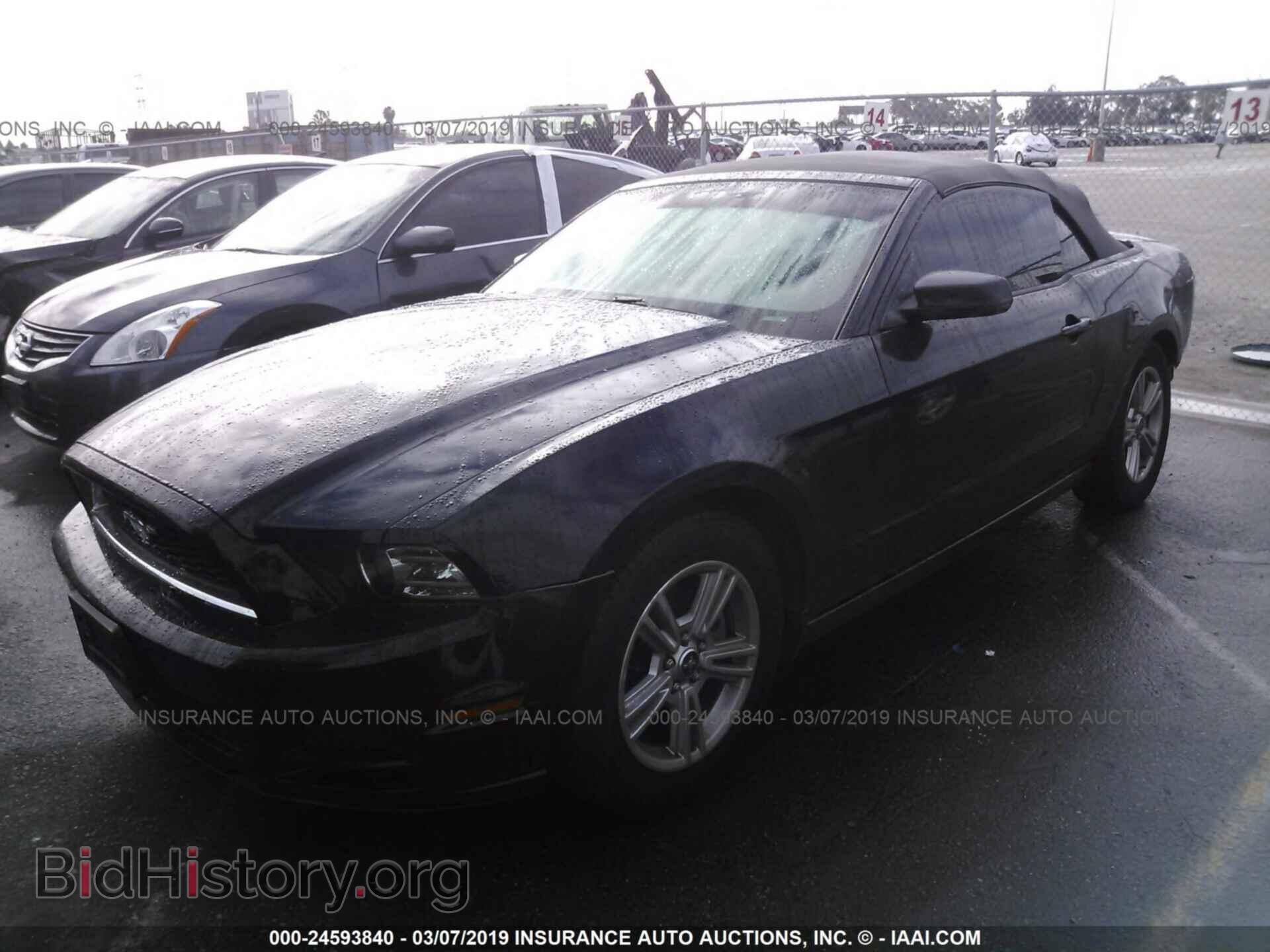 2014 FORD MUSTANG - VIN: 1ZVBP8EM8E5217785 - Photo 2