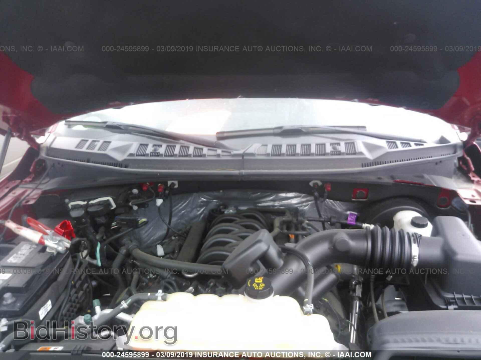 2017 FORD F150 - VIN: 1FTEW1CF1HFA97325 - Фото 10