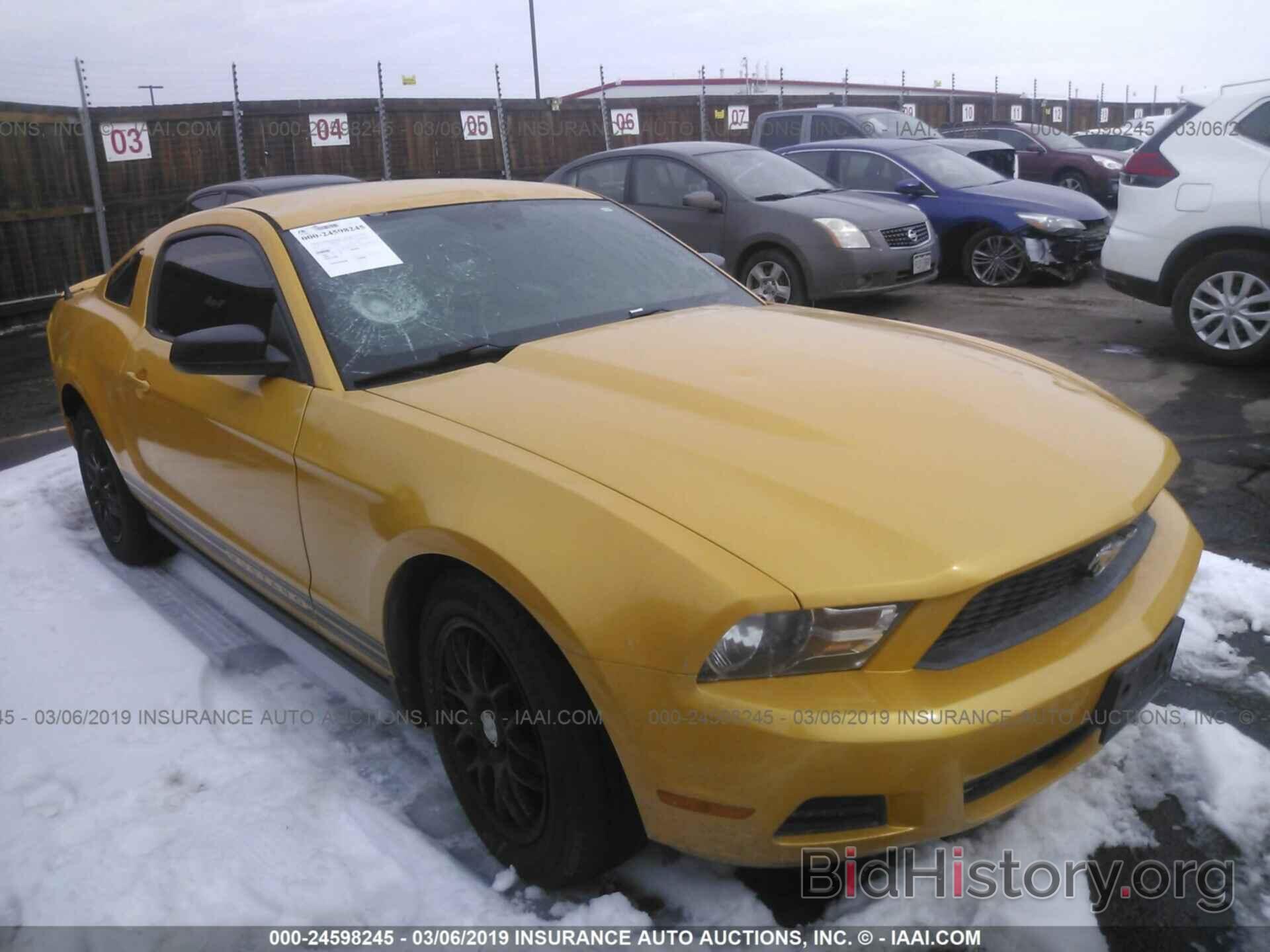 Фотография 1ZVBP8AM6C5245619 - FORD MUSTANG 2012