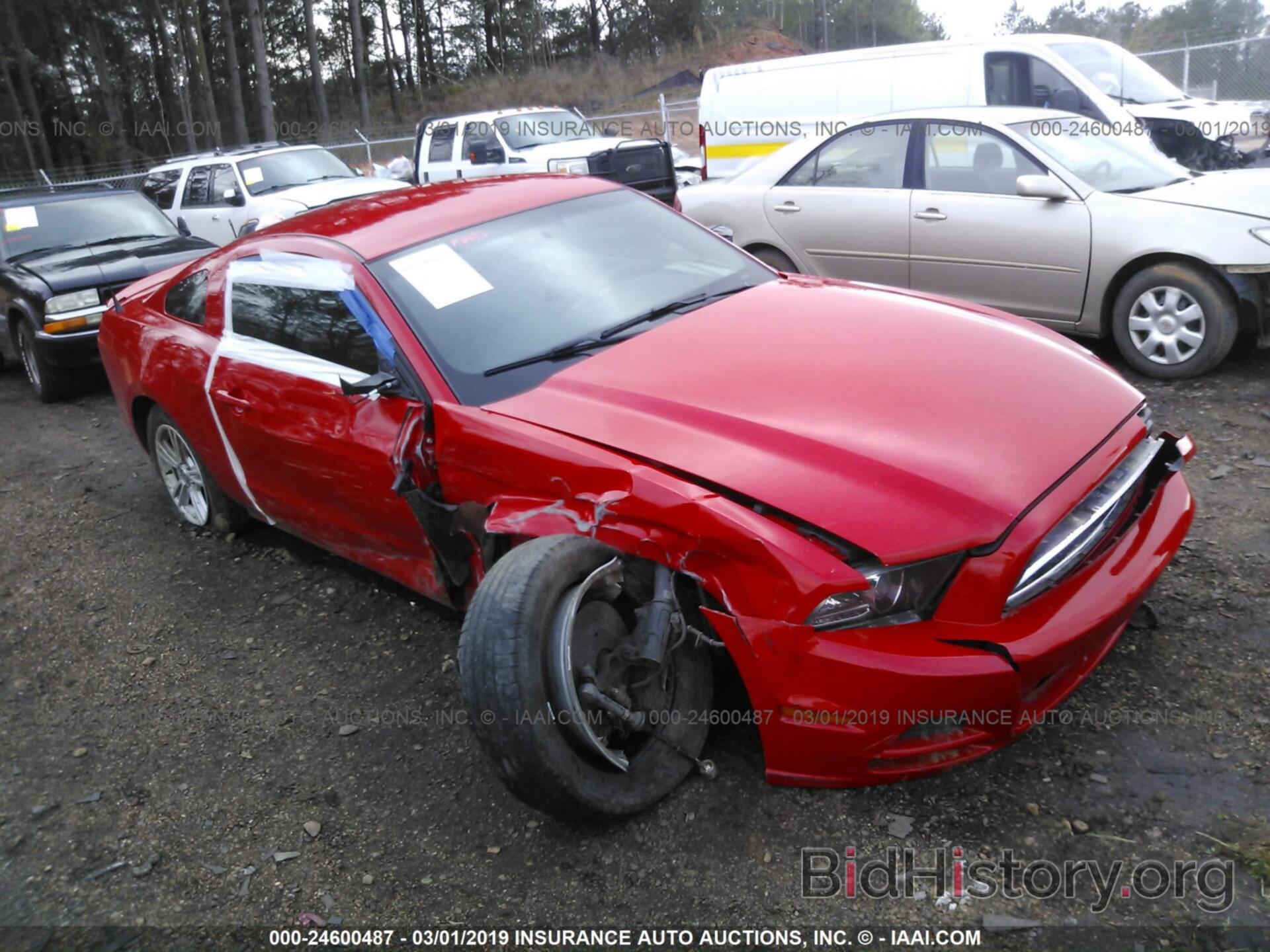 Photo 1ZVBP8AM5D5276166 - FORD MUSTANG 2013