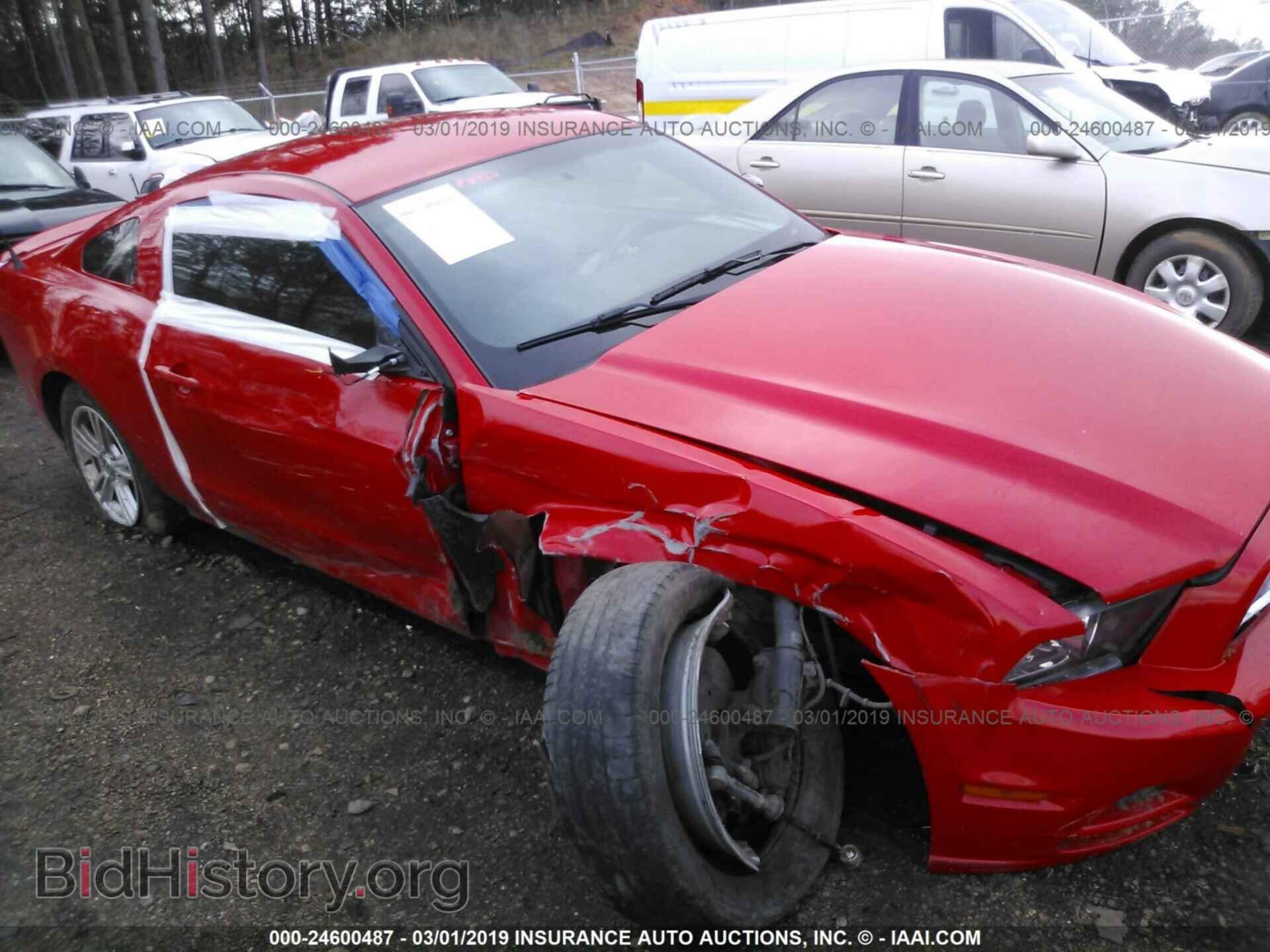2013 FORD MUSTANG - VIN: 1ZVBP8AM5D5276166 - Фото 6