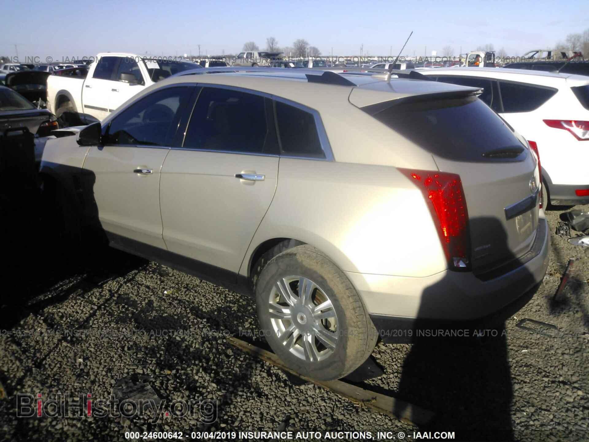 2011 CADILLAC SRX - VIN: 3GYFNDEY9BS604864 - Фото 3