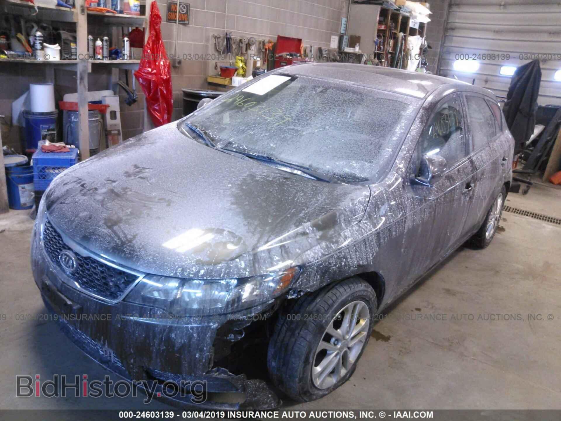 2012 KIA FORTE - VIN: KNAFU5A29C5505129 - Фото 2