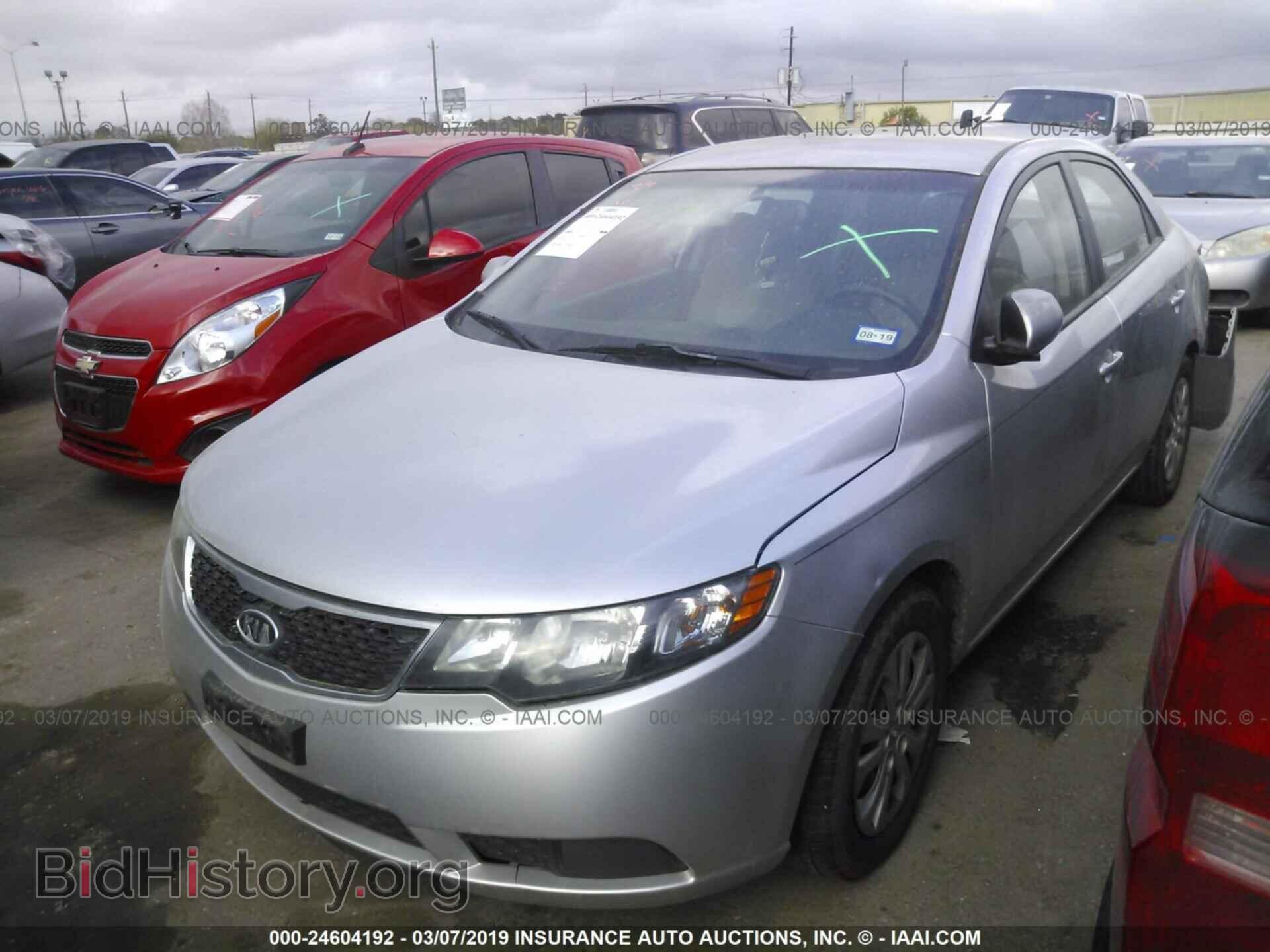 2013 KIA FORTE - VIN: KNAFT4A27D5649017 - Фото 2