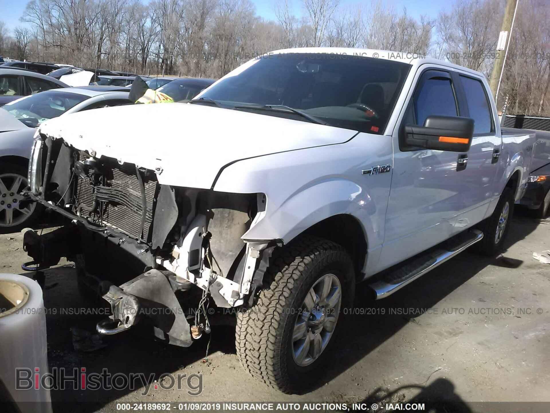 2011 FORD F150 - VIN: 1FTFW1EF4BFA41954 - Фото 2