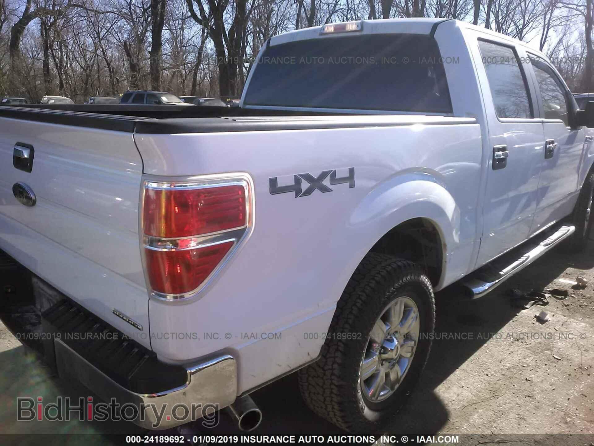 2011 FORD F150 - VIN: 1FTFW1EF4BFA41954 - Фото 4