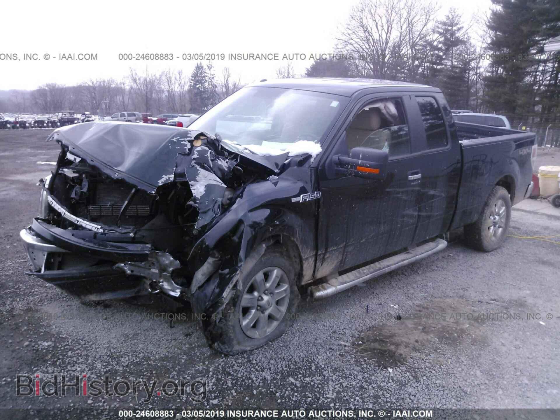 2013 FORD F150 - VIN: 1FTFX1EFXDFD98443 - Фото 2