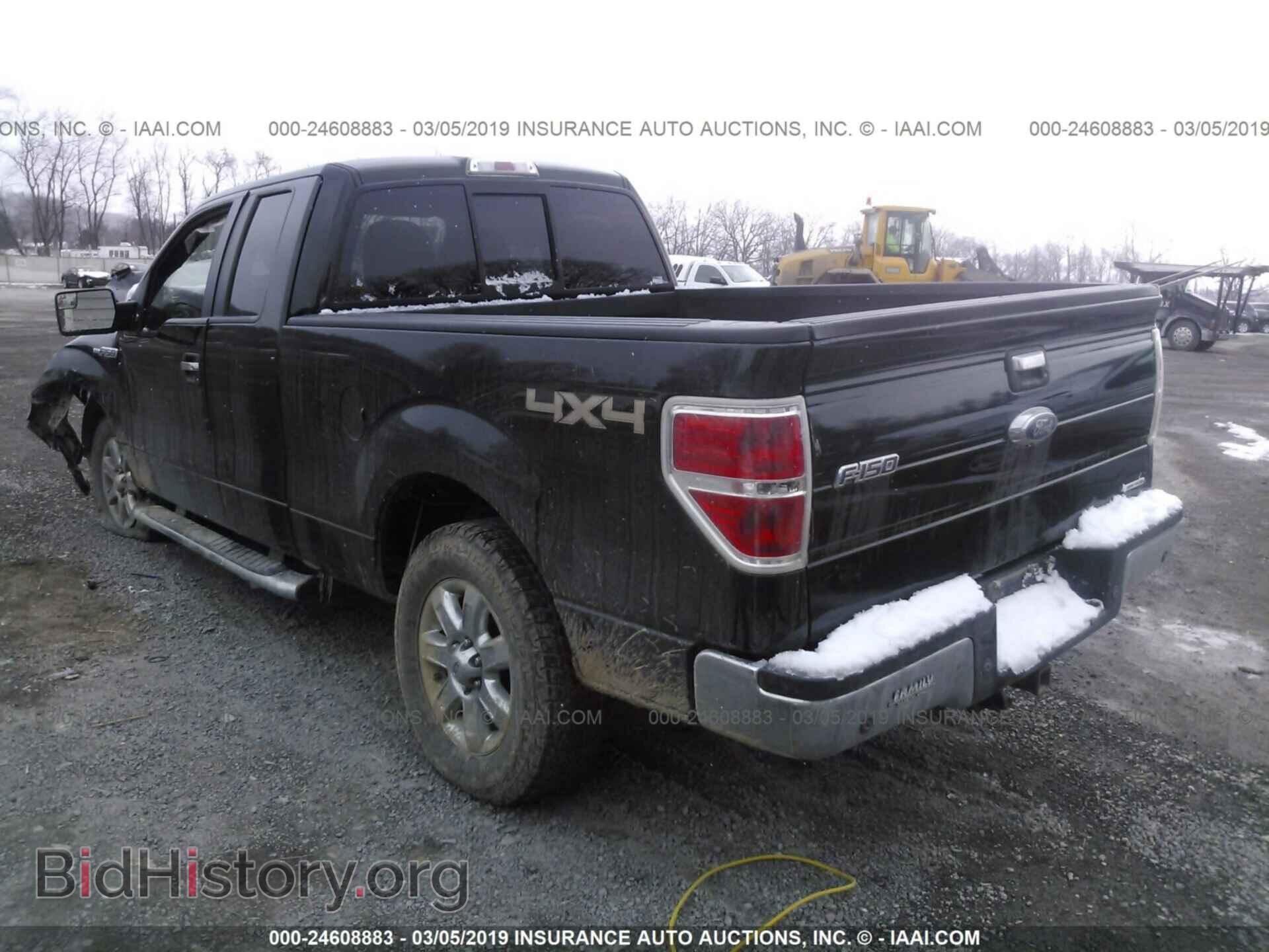2013 FORD F150 - VIN: 1FTFX1EFXDFD98443 - Фото 3