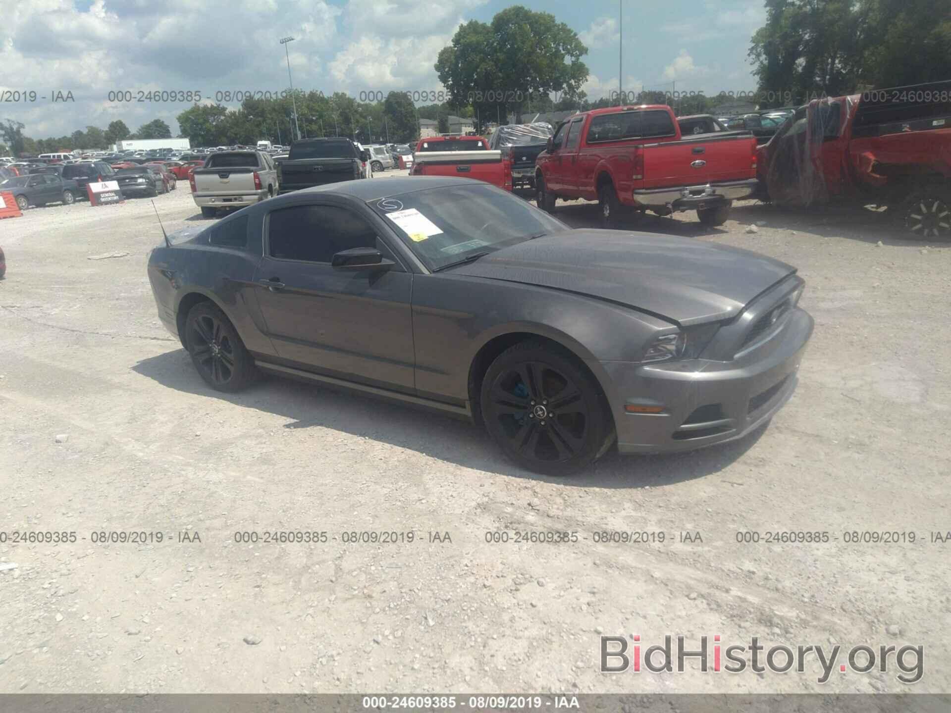 Photo 1ZVBP8AMXD5206808 - FORD MUSTANG 2013