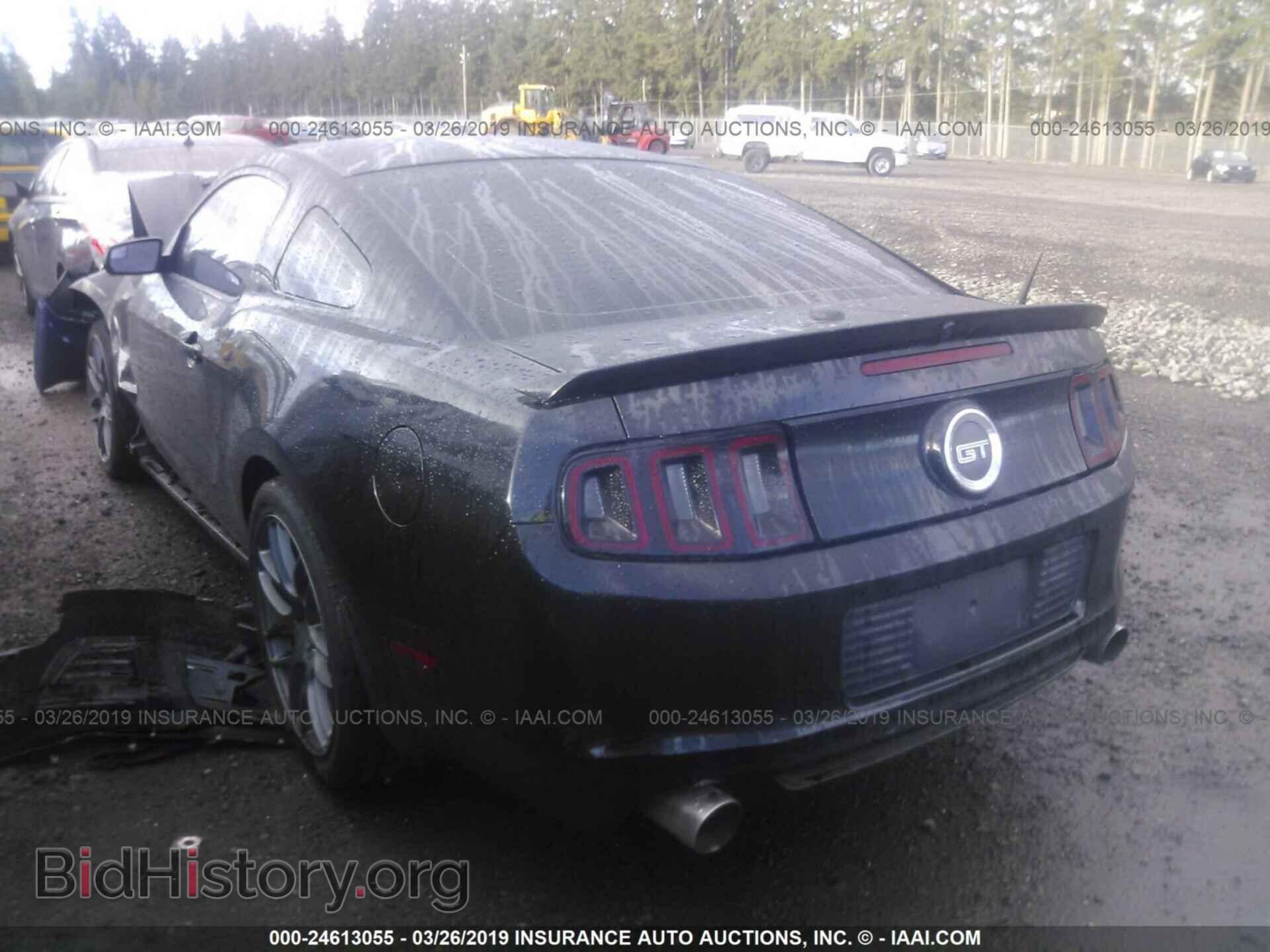 2013 FORD MUSTANG - VIN: 1ZVBP8CF5D5264761 - Фото 3