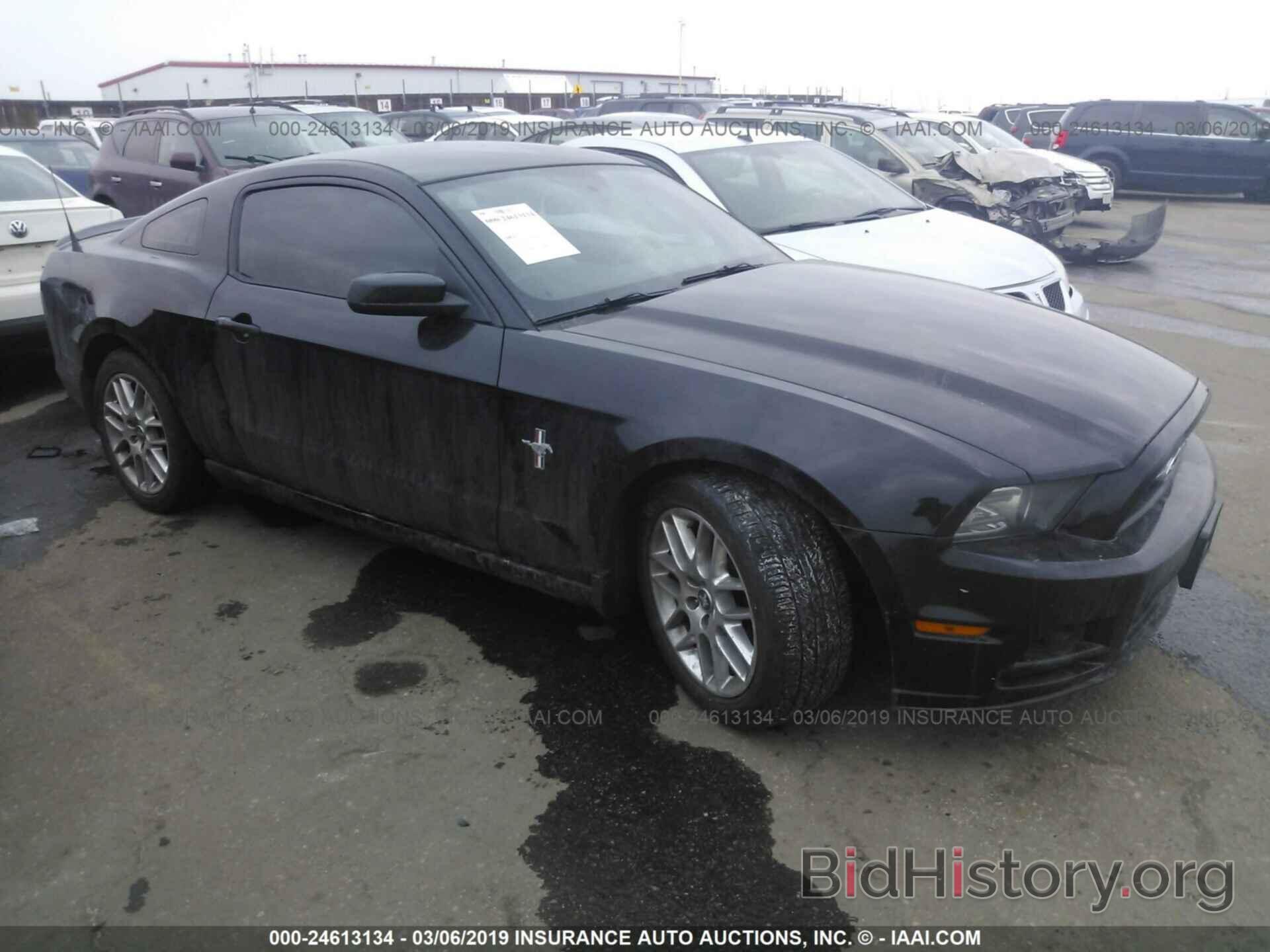 Photo 1ZVBP8AM0D5202489 - FORD MUSTANG 2013