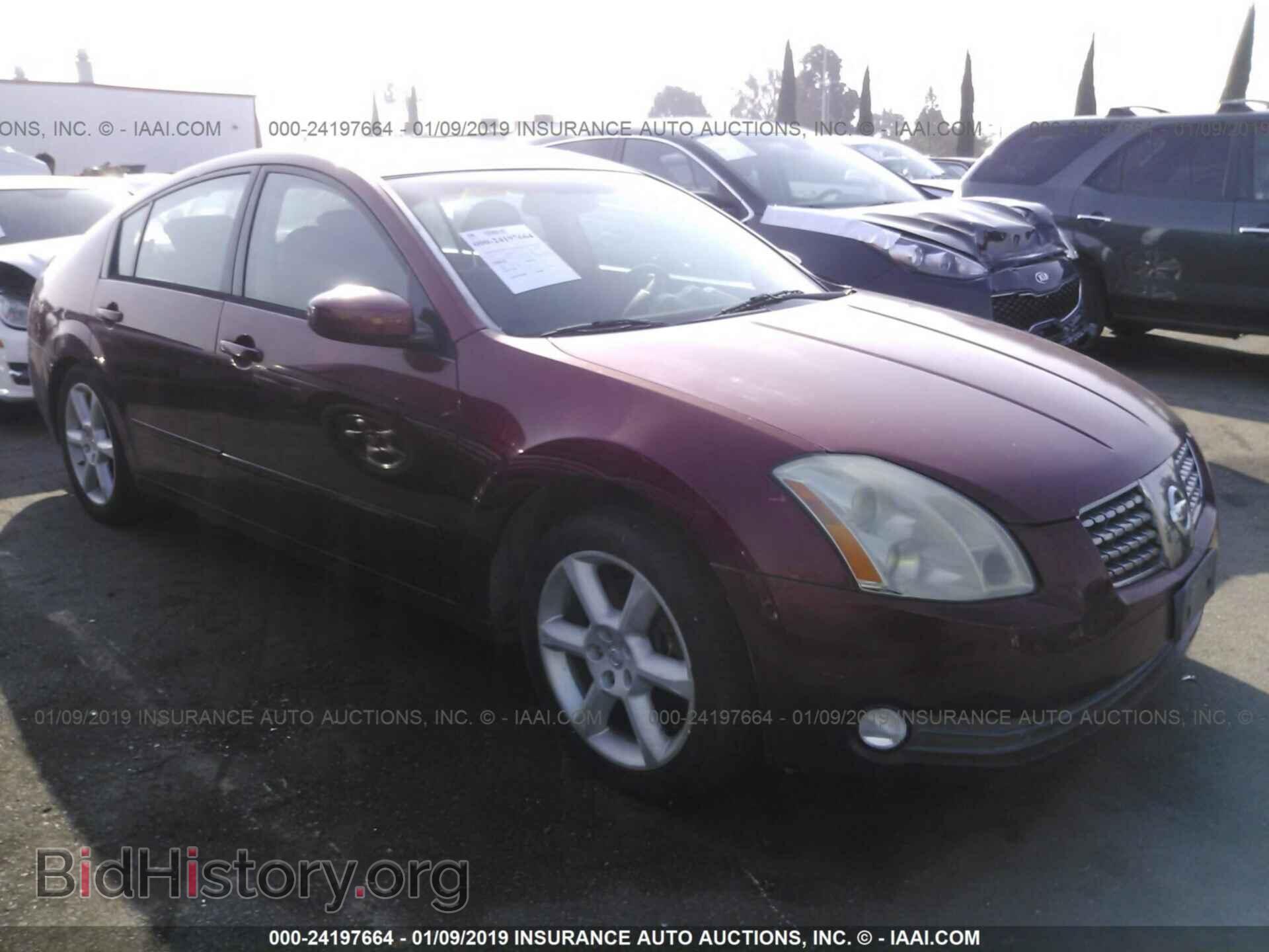 Photo 1N4BA41E35C840616 - NISSAN MAXIMA 2005