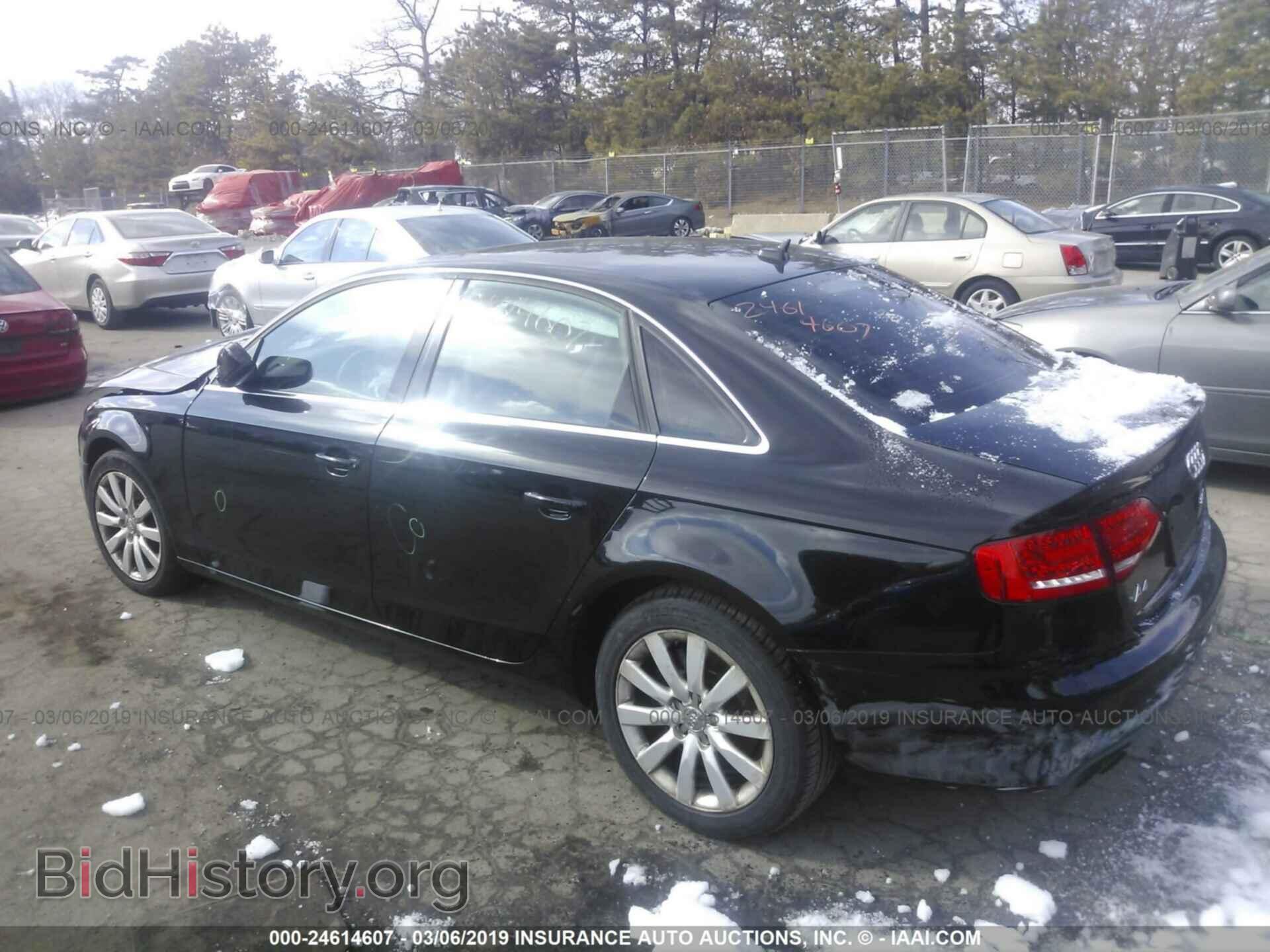2010 AUDI A4 - VIN: WAUEFAFL5AN010231 - Photo 3