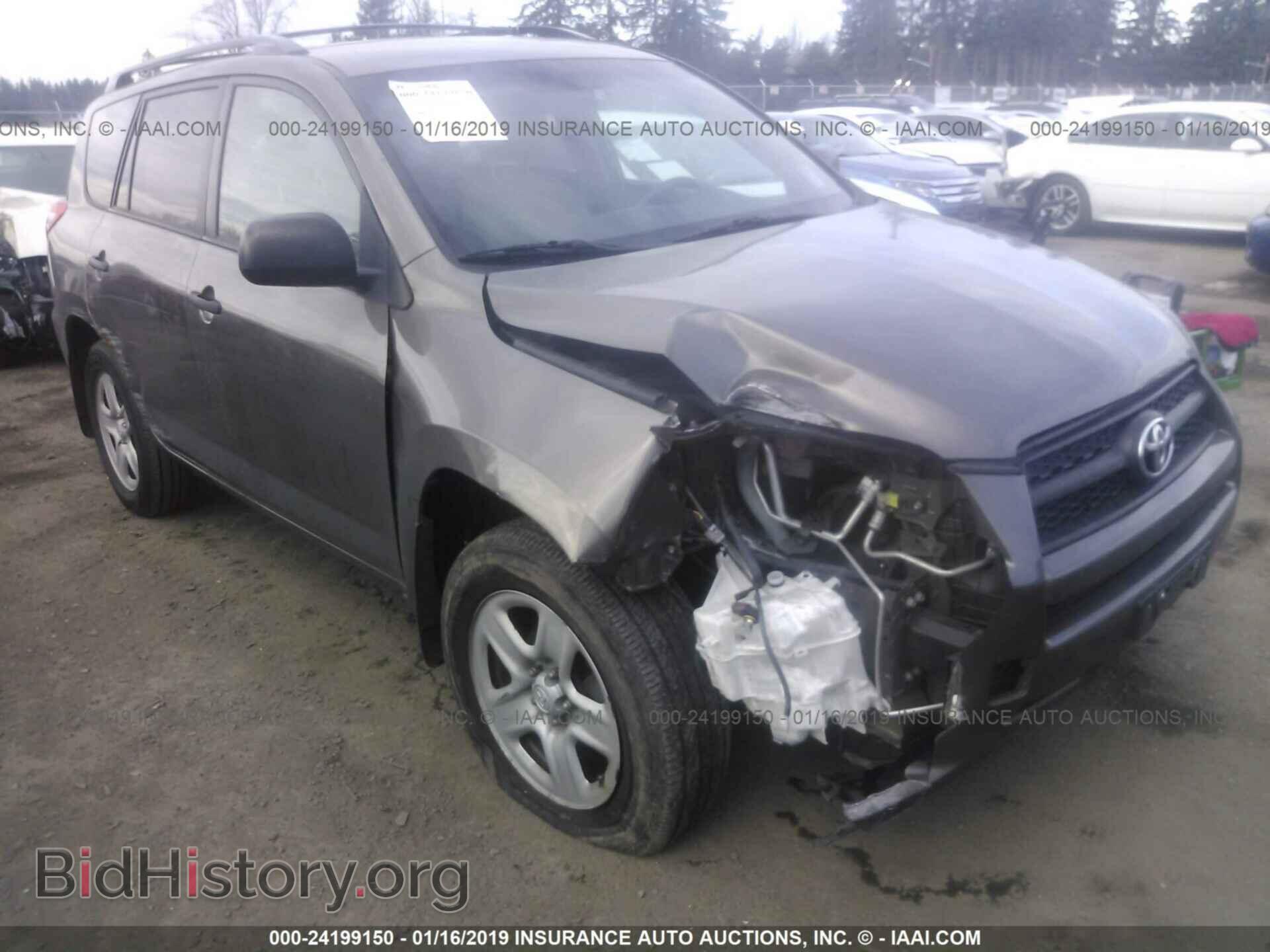 Фотография 2T3BF4DV6CW230789 - TOYOTA RAV4 2012