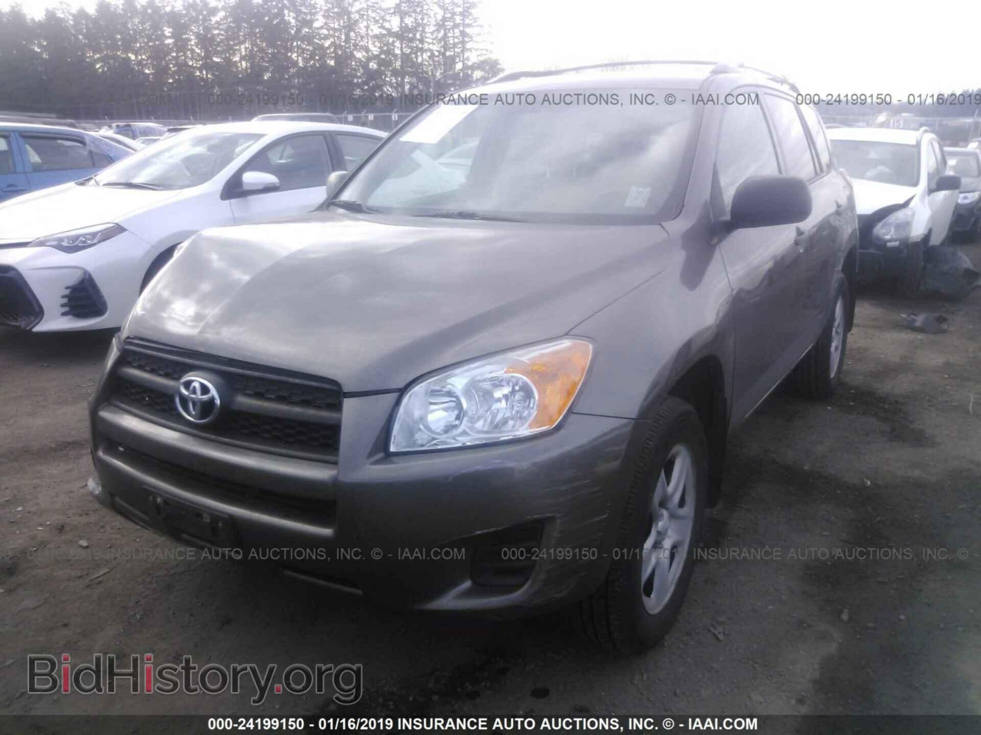 2012 TOYOTA RAV4 - VIN: 2T3BF4DV6CW230789 - Фото 2