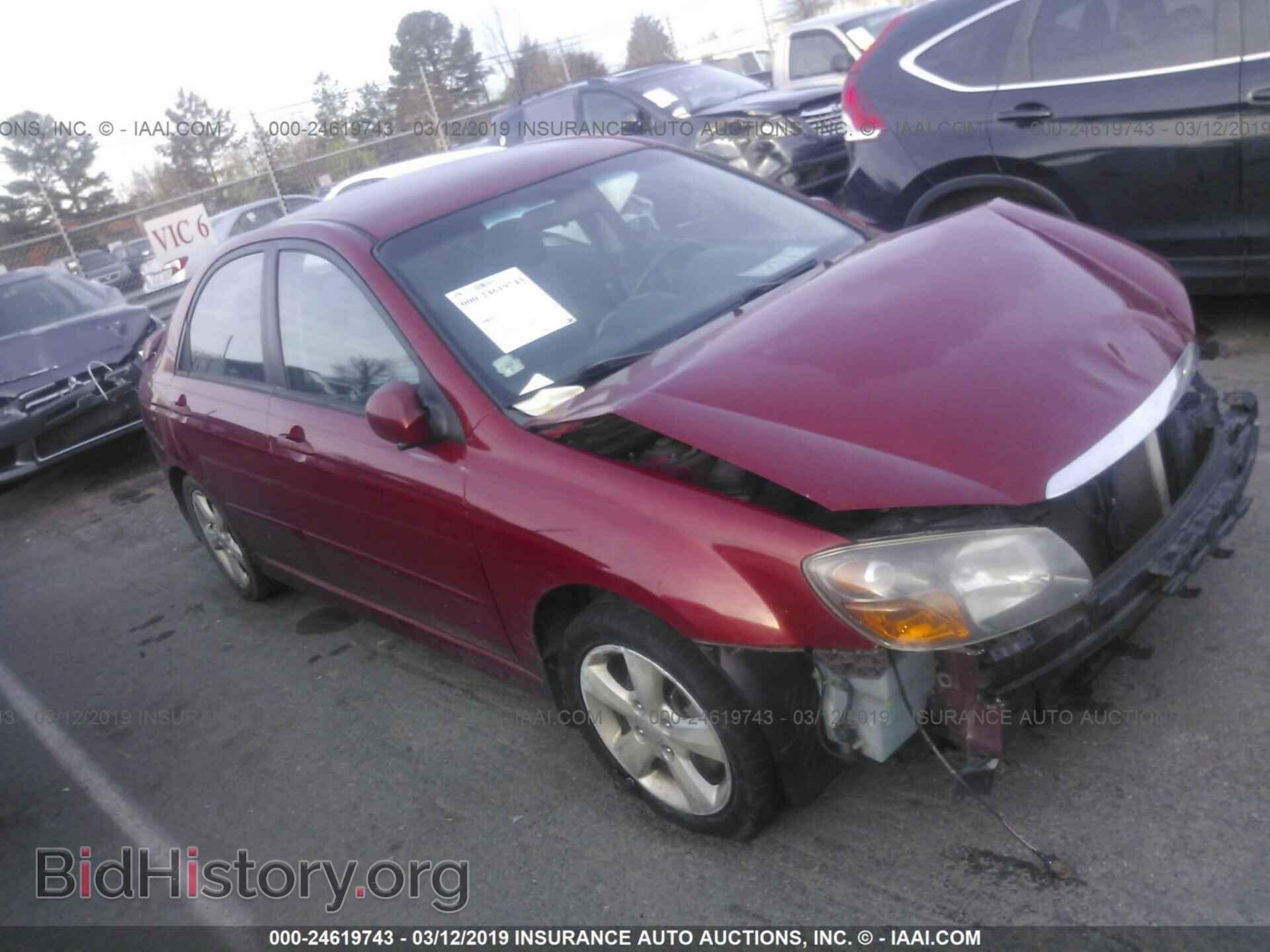 Фотография KNAFE121885014599 - KIA SPECTRA 2008