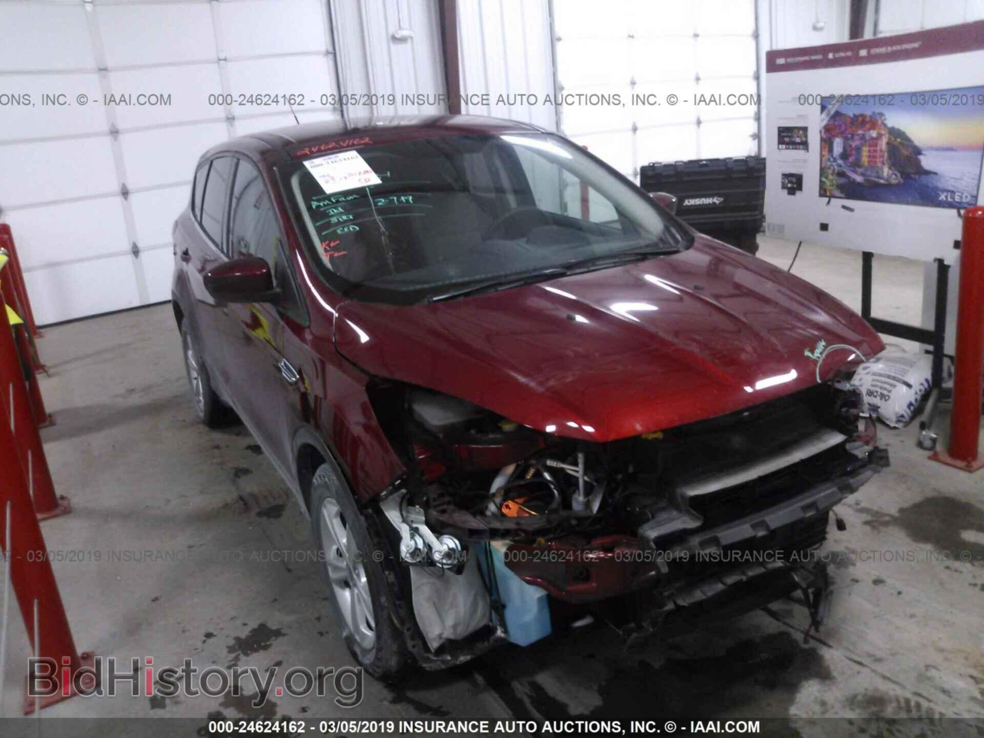 Фотография 1FMCU0GX8EUD50993 - FORD ESCAPE 2014
