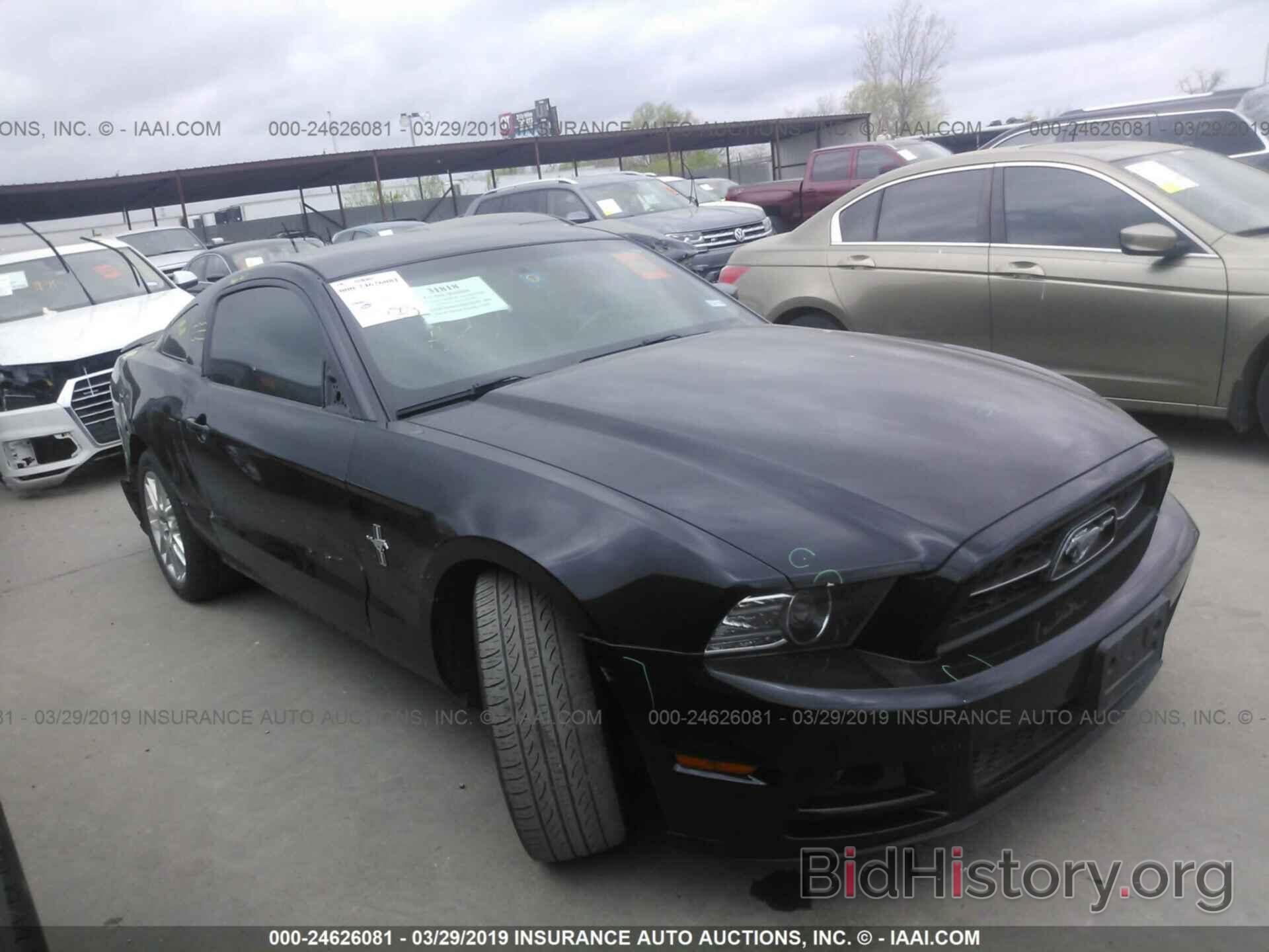 Photo 1ZVBP8AM3E5251316 - FORD MUSTANG 2014