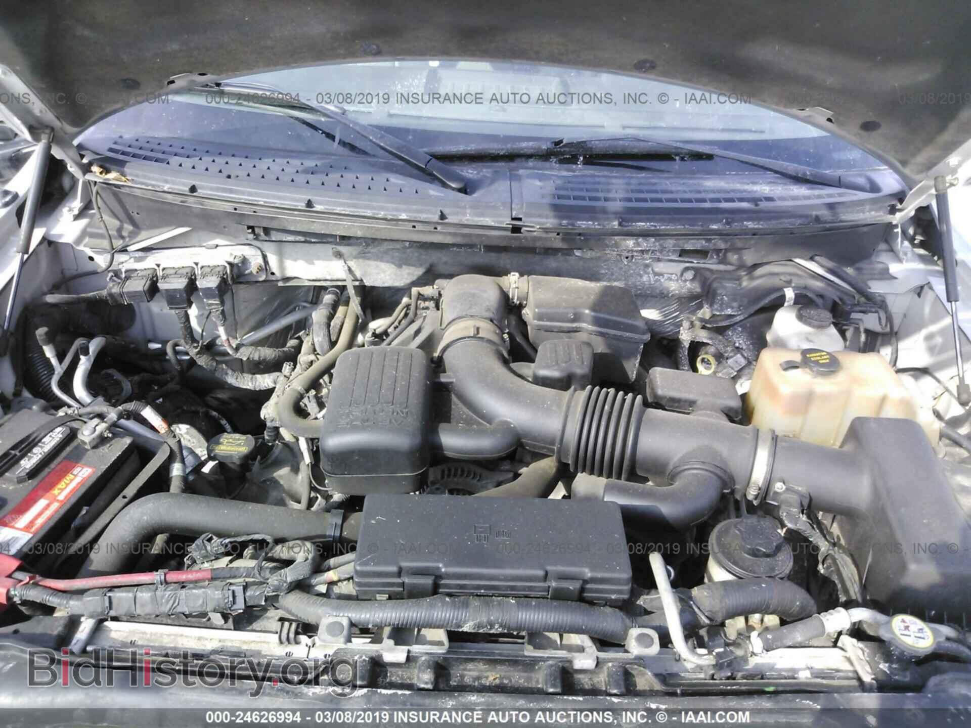 2010 FORD F150 - VIN: 1FTFX1EV3AKA23567 - Фото 10