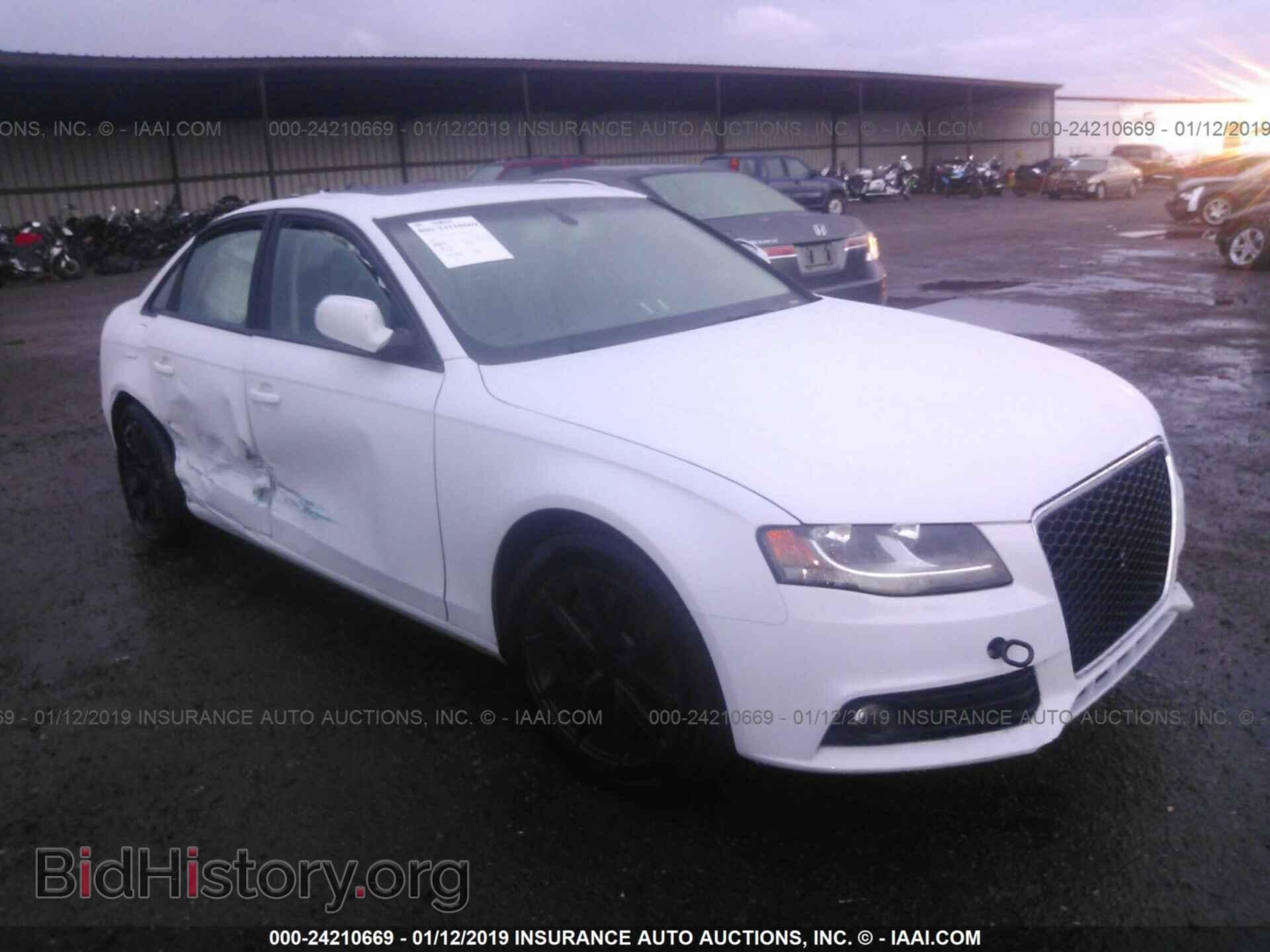 Photo WAUBFAFLXCA113884 - AUDI A4 2012