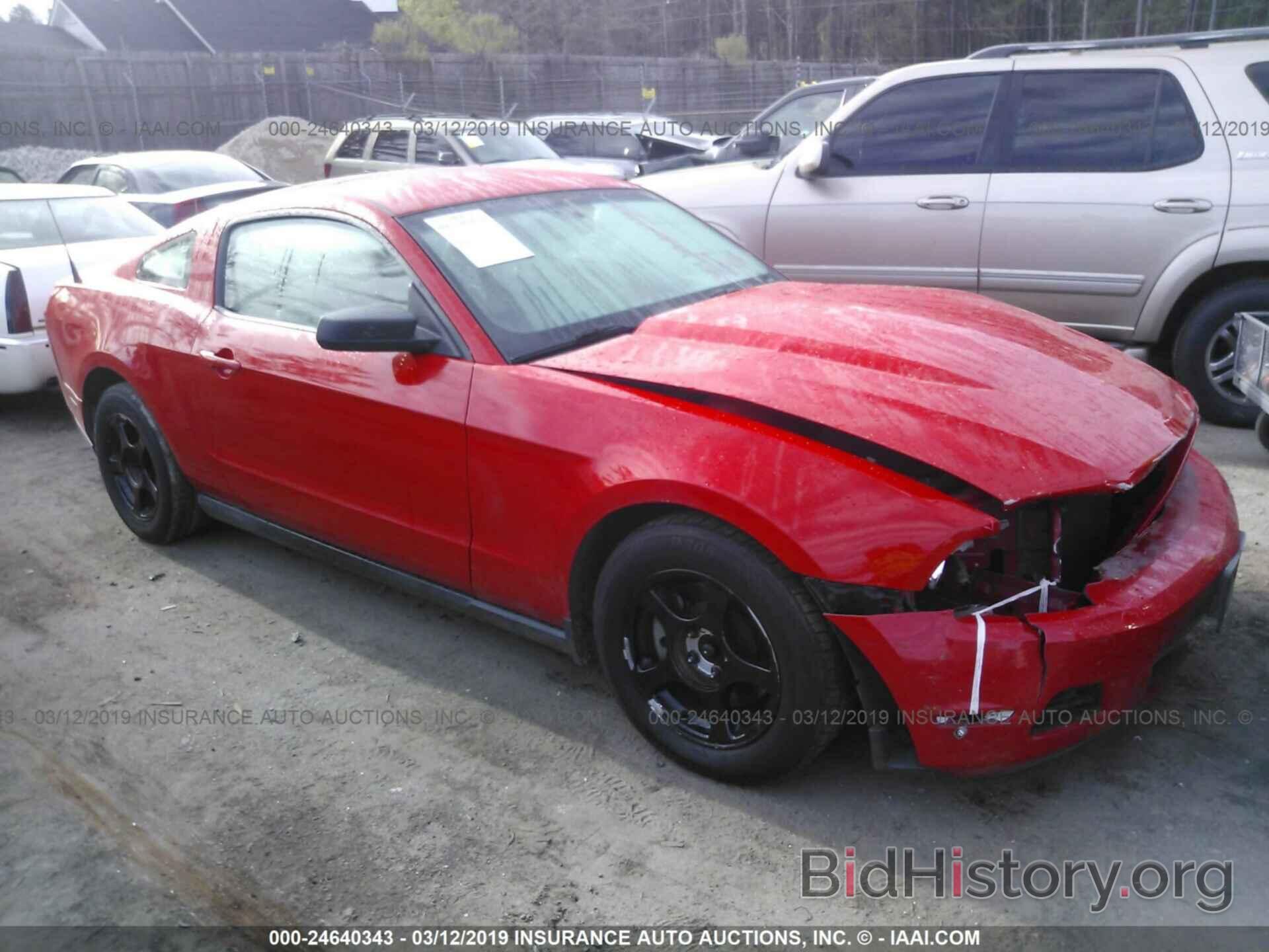 Photo 1ZVBP8AM3C5212156 - FORD MUSTANG 2012