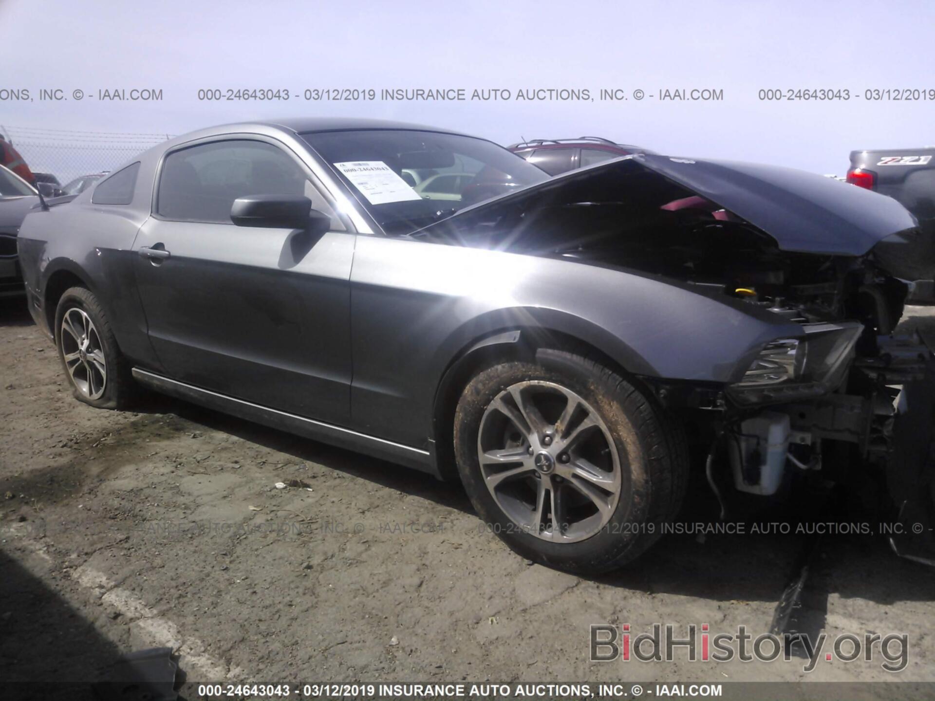 Photo 1ZVBP8AM1E5251654 - FORD MUSTANG 2014
