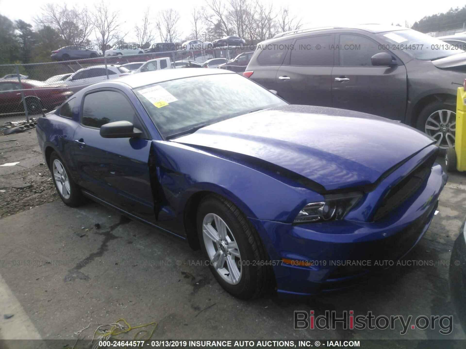 Photo 1ZVBP8AM8D5268305 - FORD MUSTANG 2013