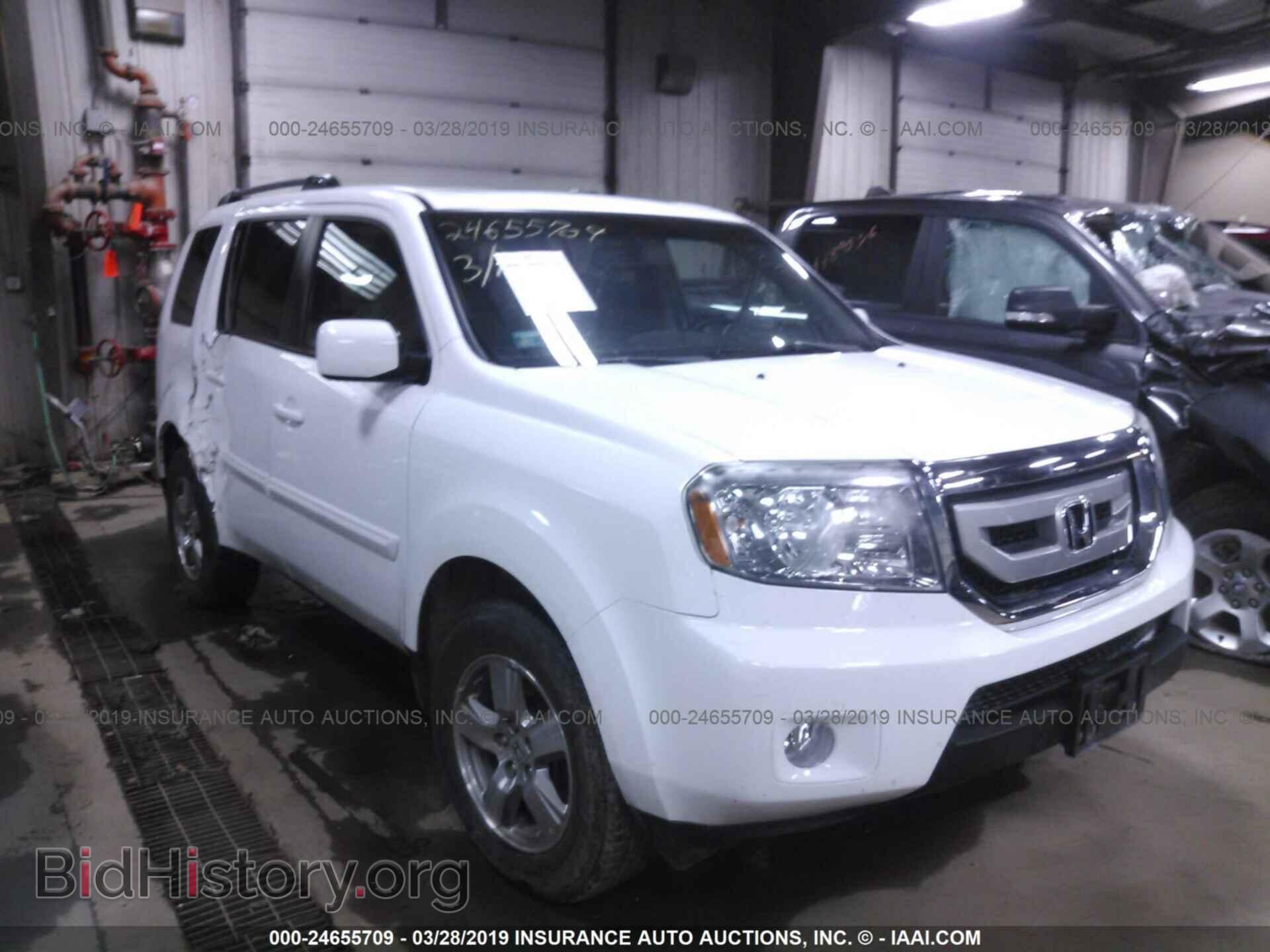 Фотография 5FNYF4H54BB031491 - HONDA PILOT 2011