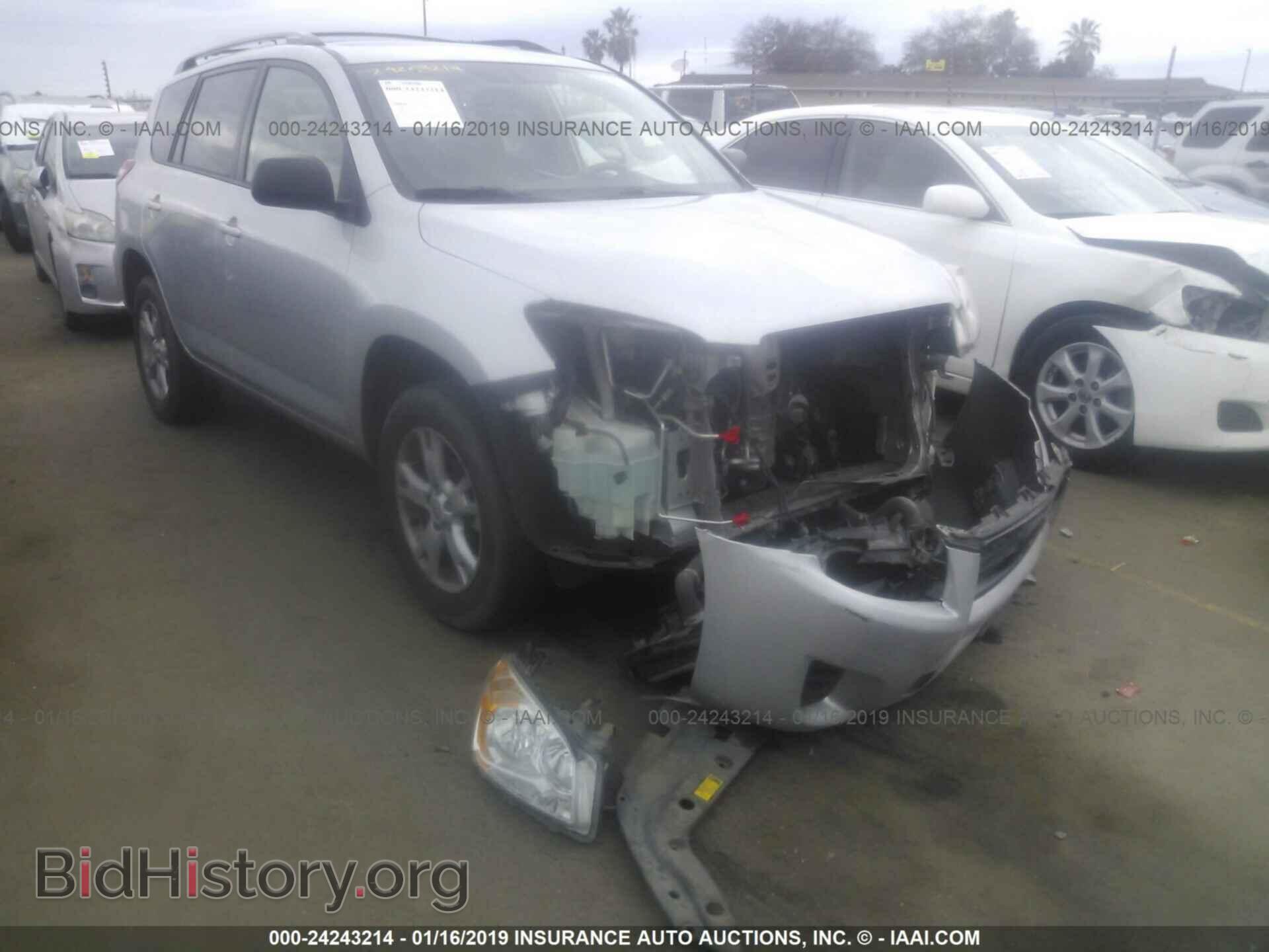 Фотография 2T3ZF4DV2CW154597 - TOYOTA RAV4 2012