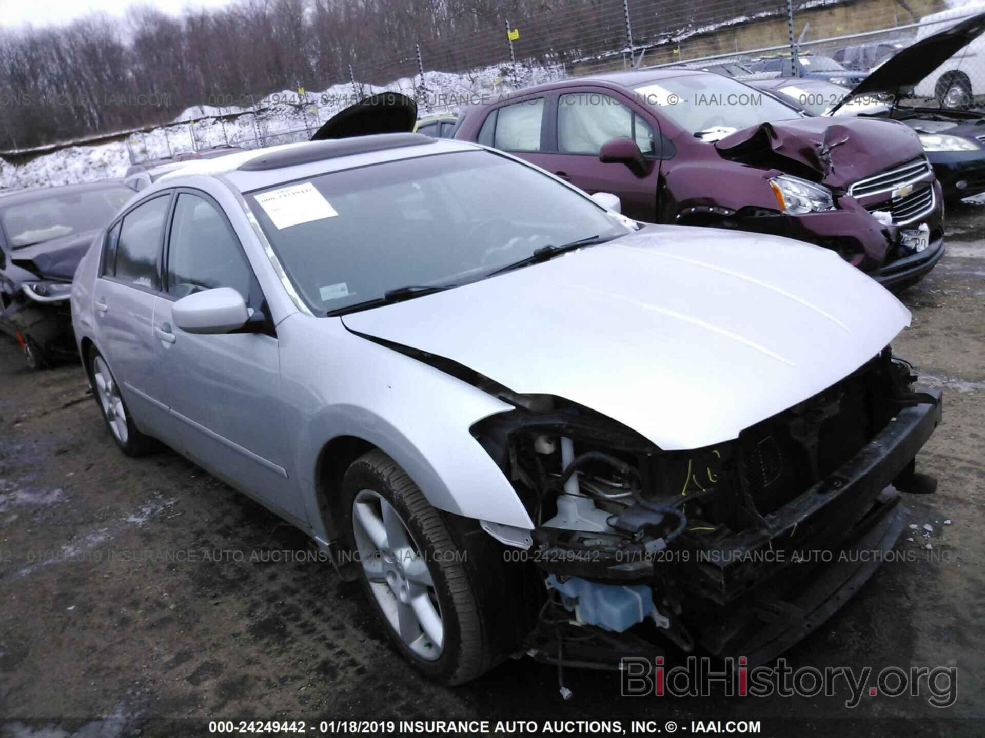 Photo 1N4BA41E15C867684 - NISSAN MAXIMA 2005