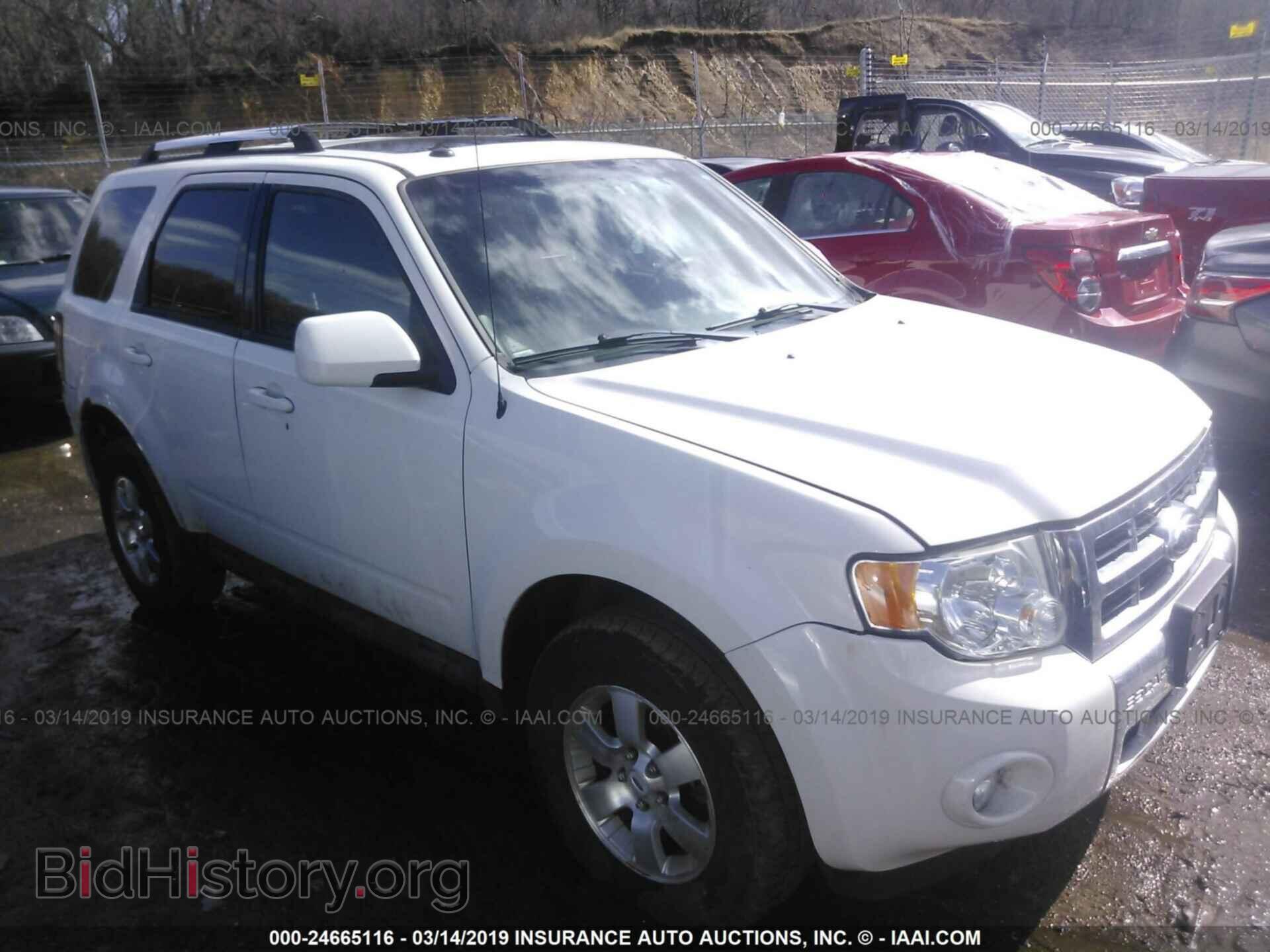 Фотография 1FMCU04799KB64191 - FORD ESCAPE 2009