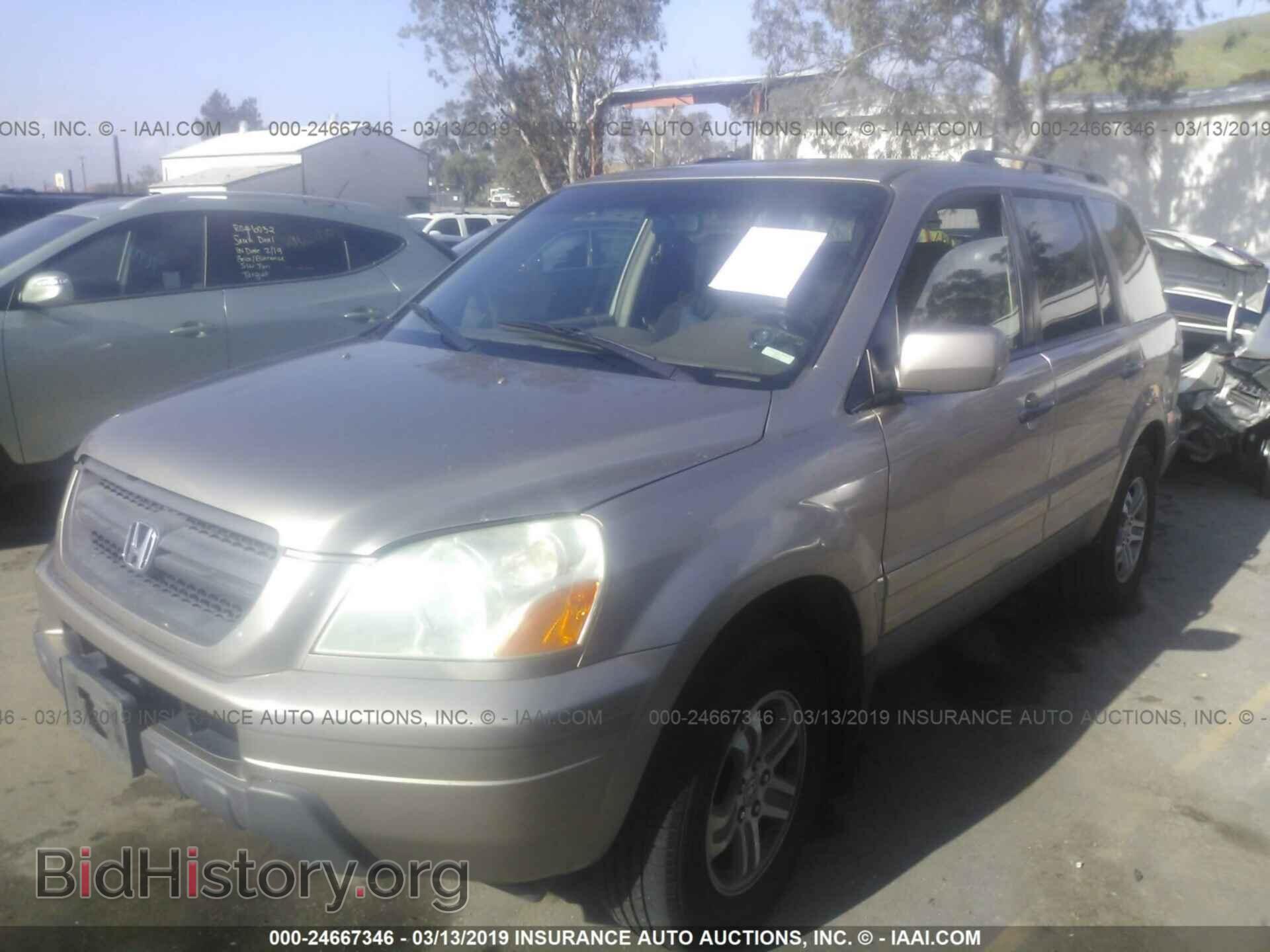 2005 HONDA PILOT - VIN: 5FNYF18655B035979 - Фото 2