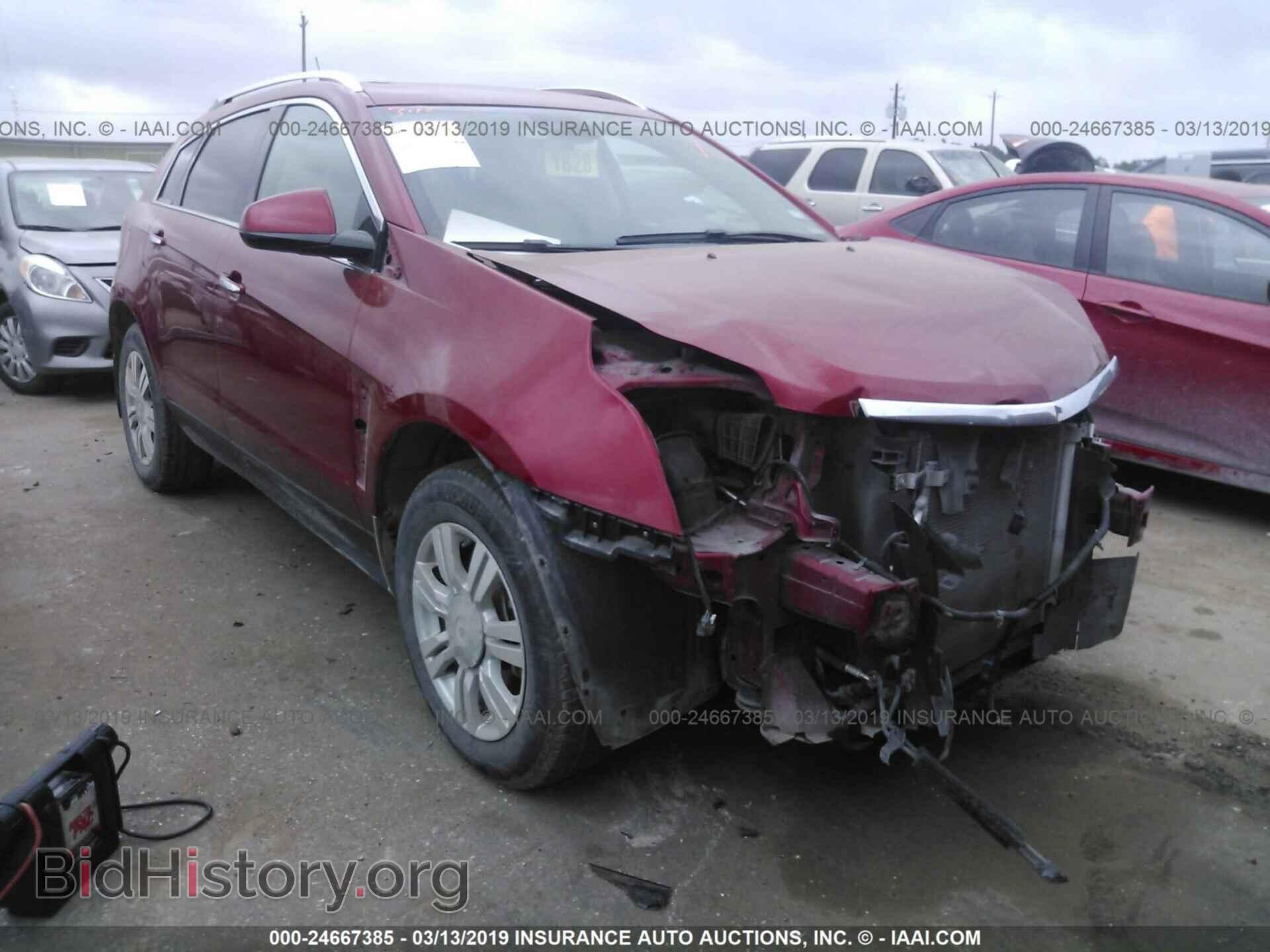 Фотография 3GYFNCE37DS642367 - CADILLAC SRX 2013