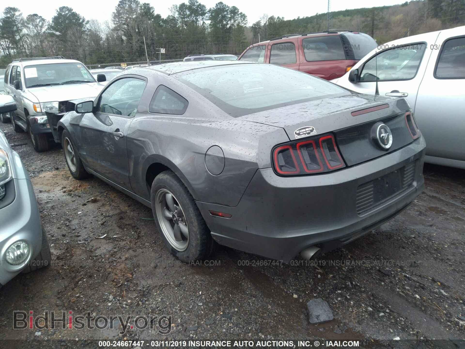2014 FORD MUSTANG - VIN: 1ZVBP8AM8E5209353 - Фото 3