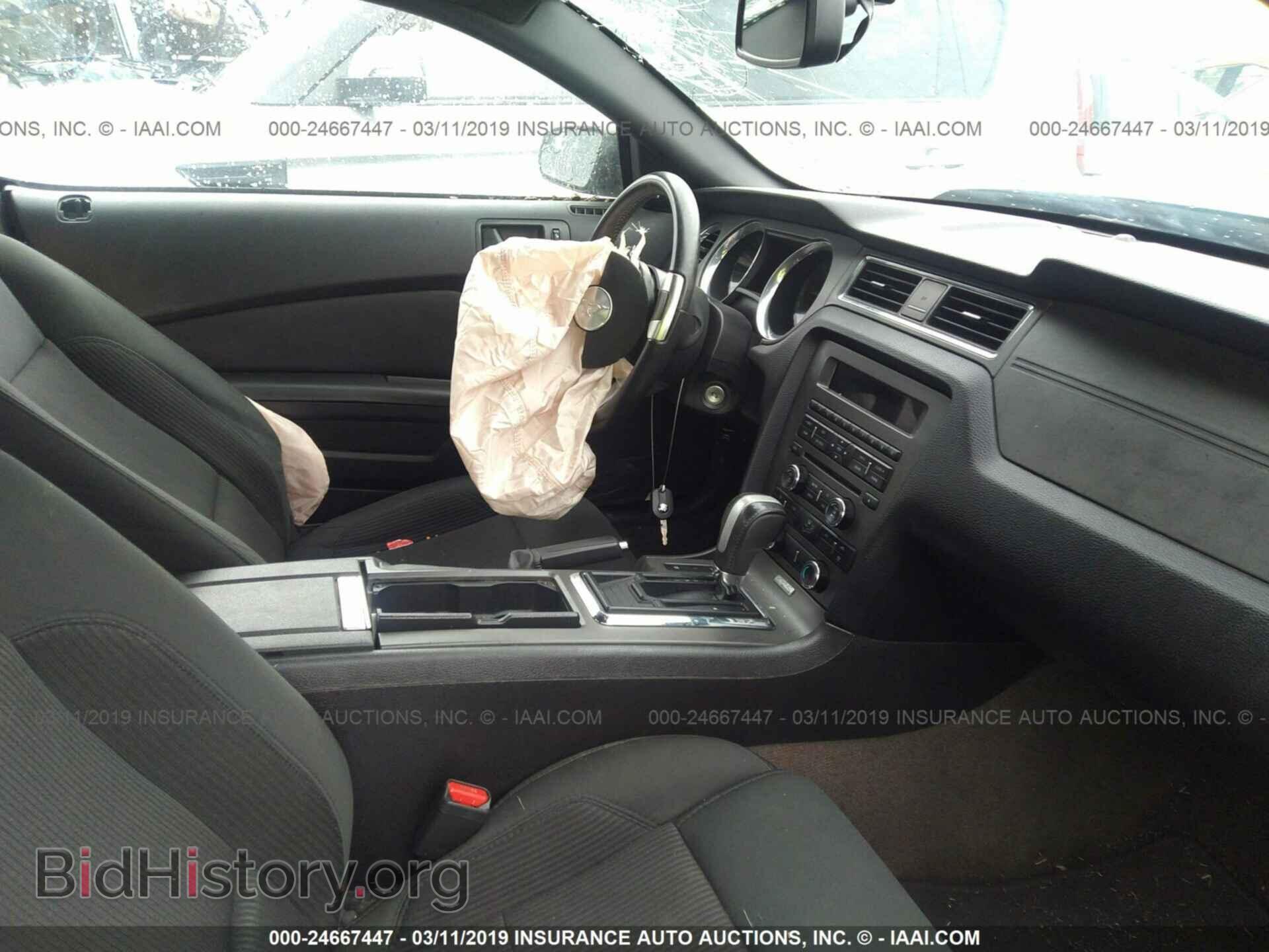 2014 FORD MUSTANG - VIN: 1ZVBP8AM8E5209353 - Фото 5