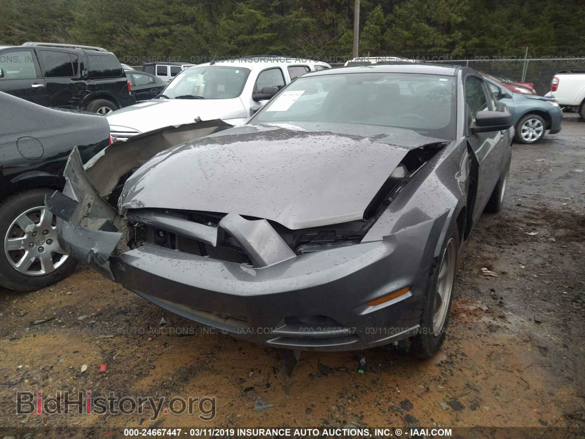 2014 FORD MUSTANG - VIN: 1ZVBP8AM8E5209353 - Фото 6